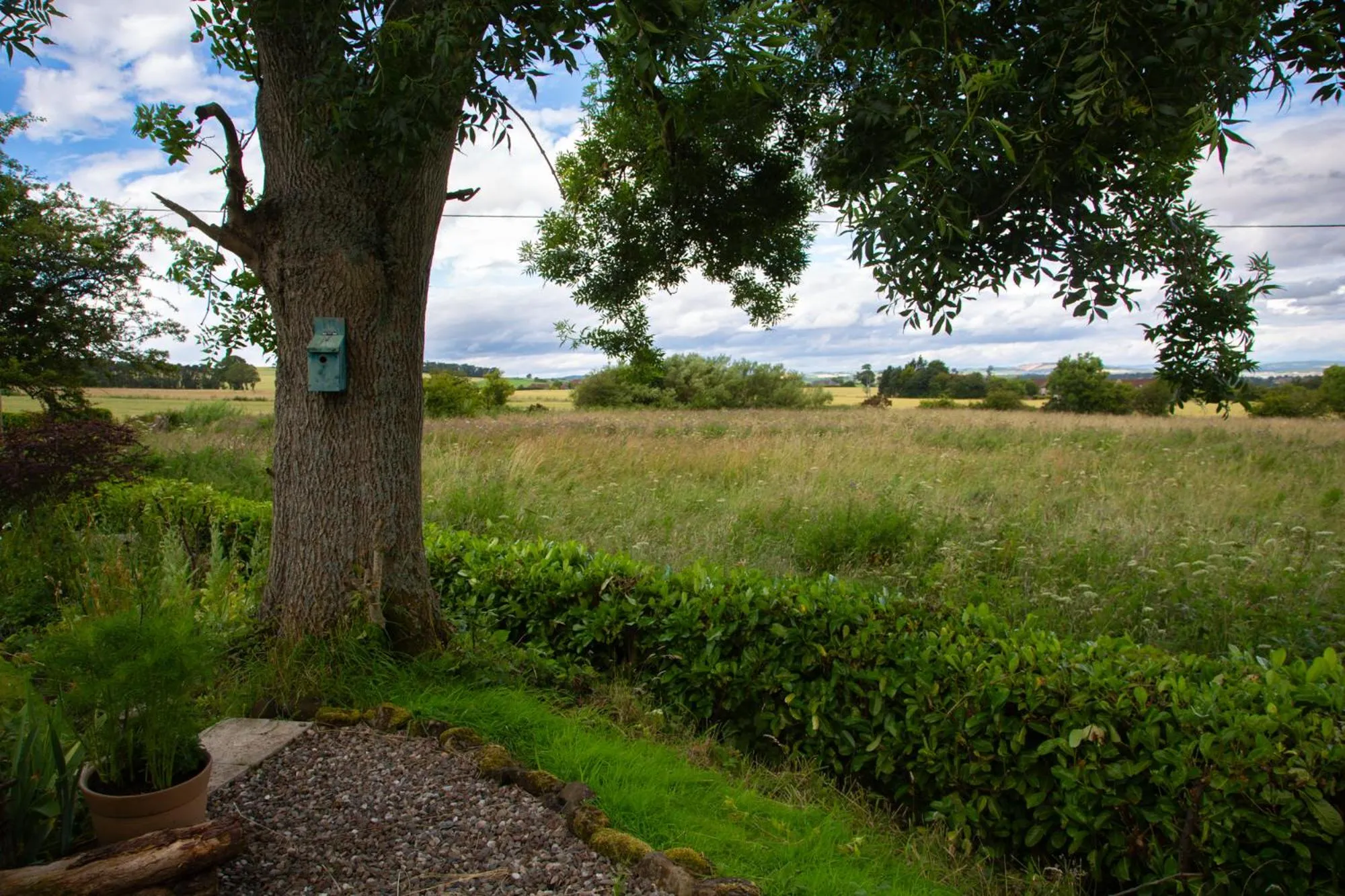 Balmungo Cottage B&B