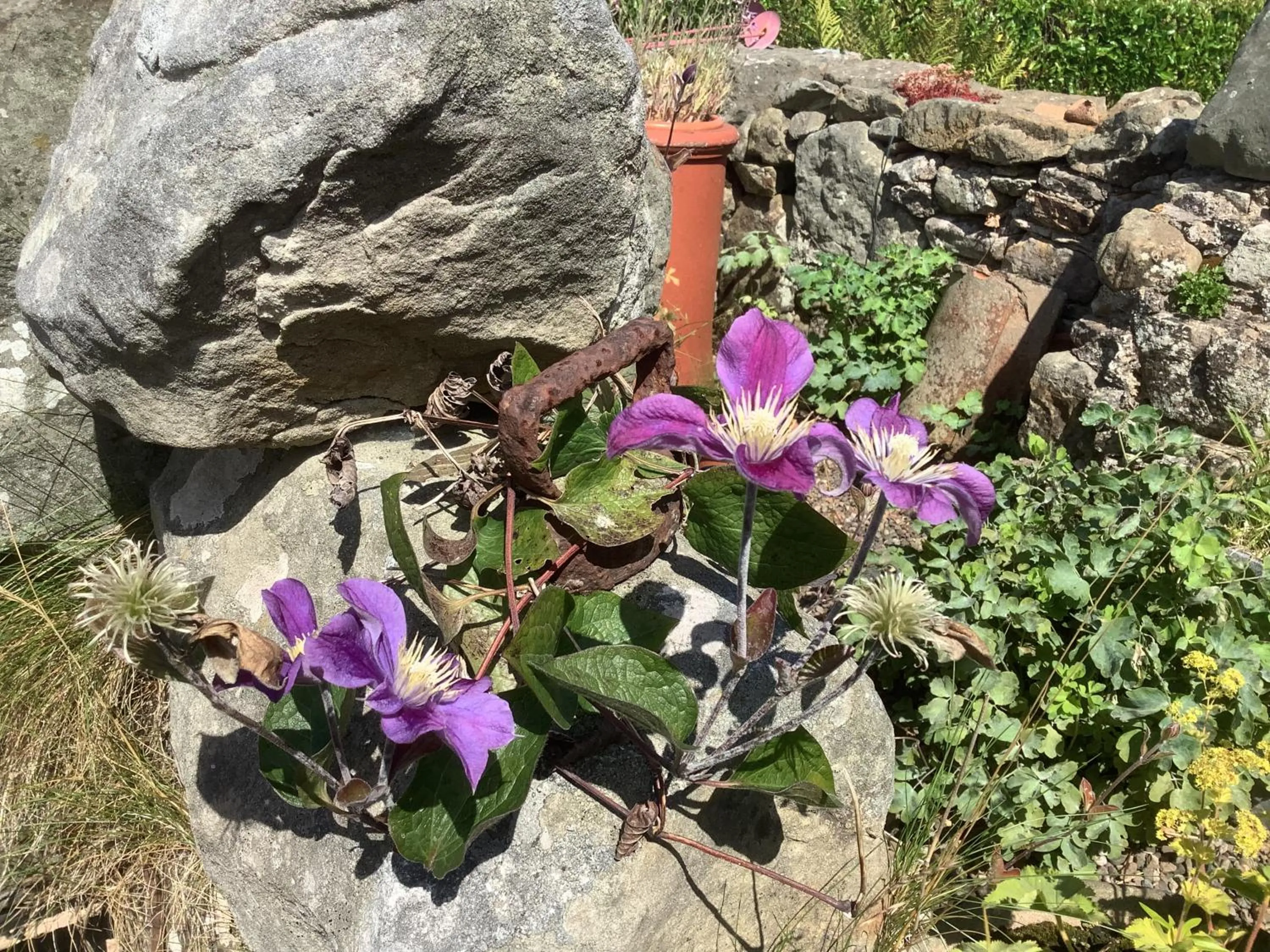 Balmungo Cottage B&B