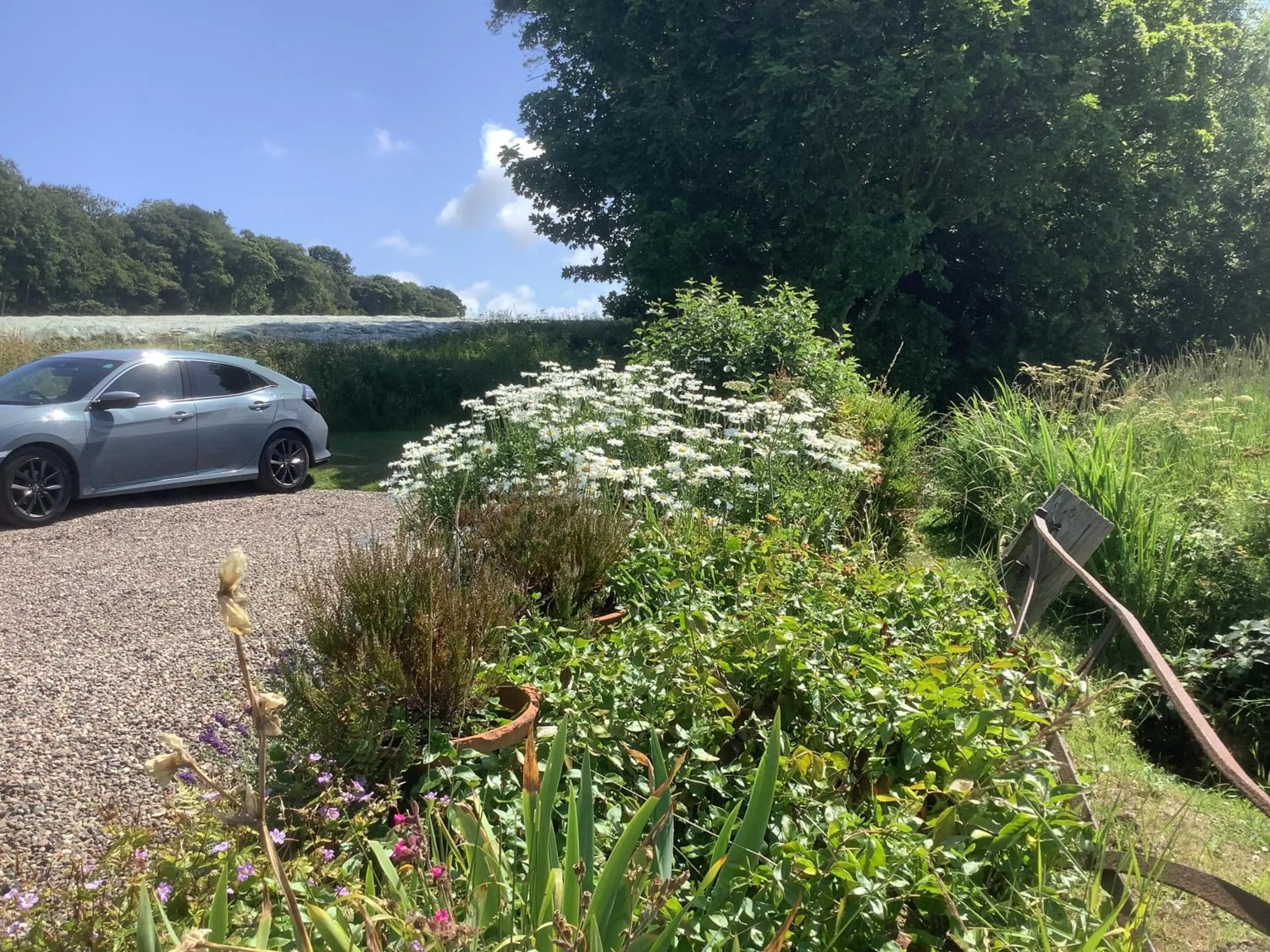 Balmungo Cottage B&B