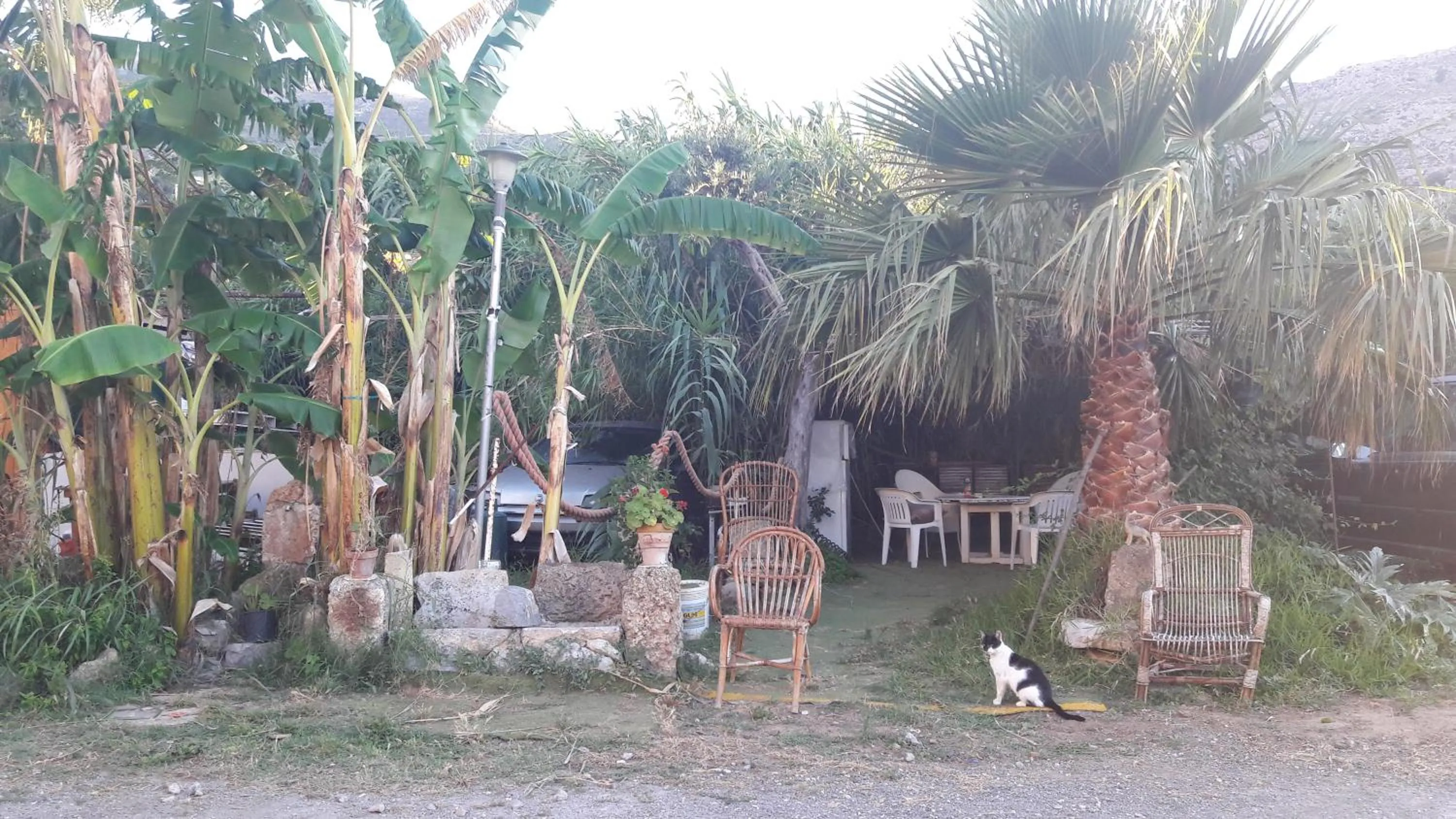 Property building in B&b La Palma