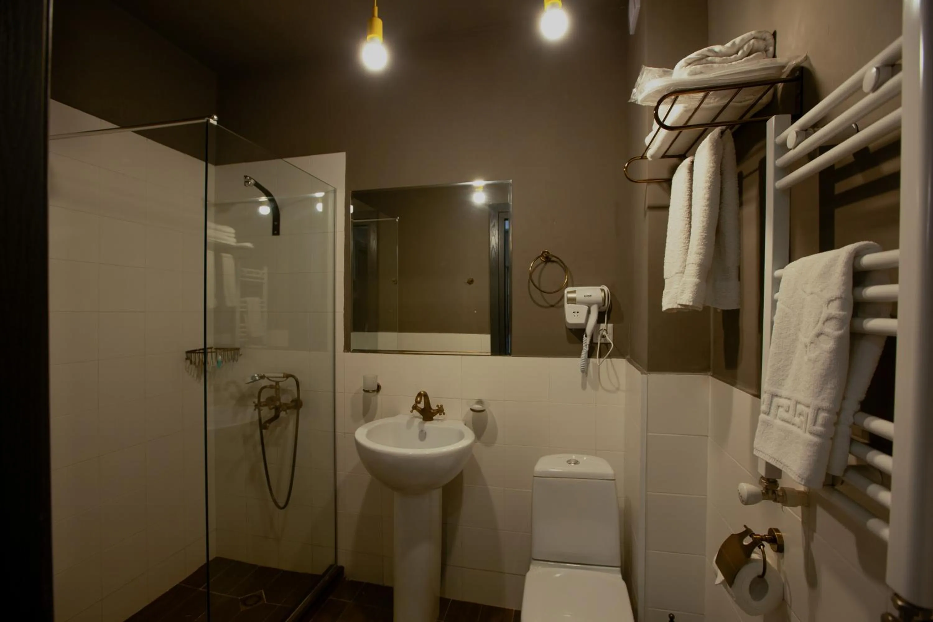 Shower in Hotel Gino Wellness Mtskheta