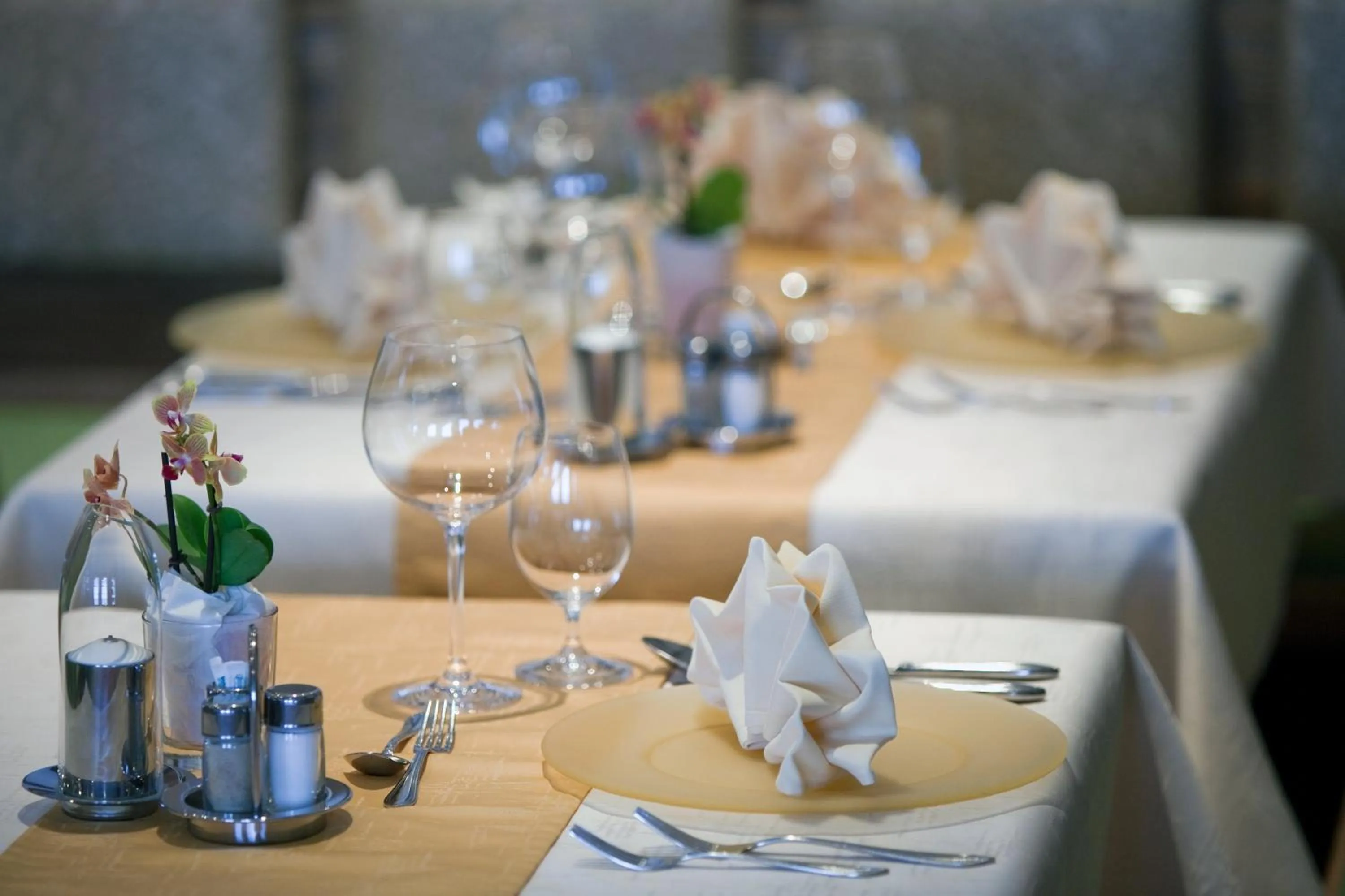 Restaurant/places to eat in Hotel Puint