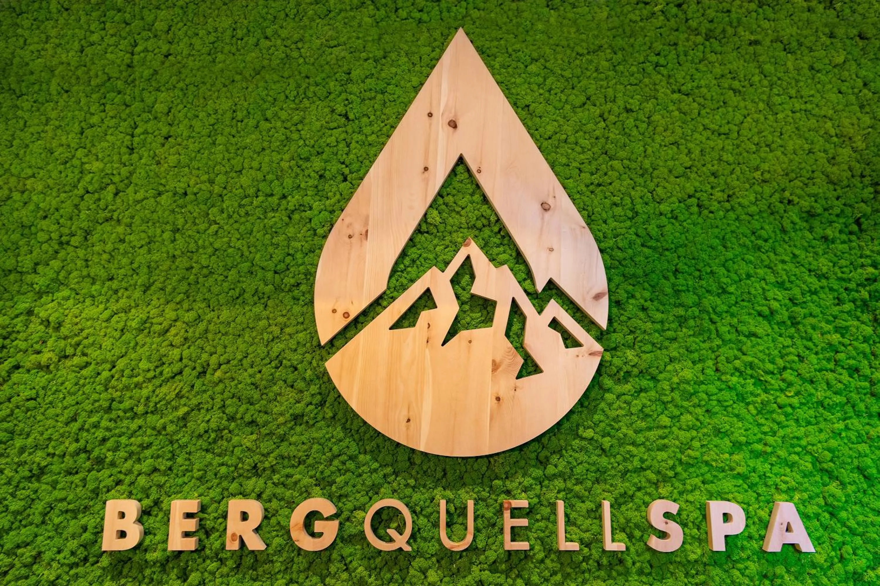 Logo/Certificate/Sign in Hotel Puint