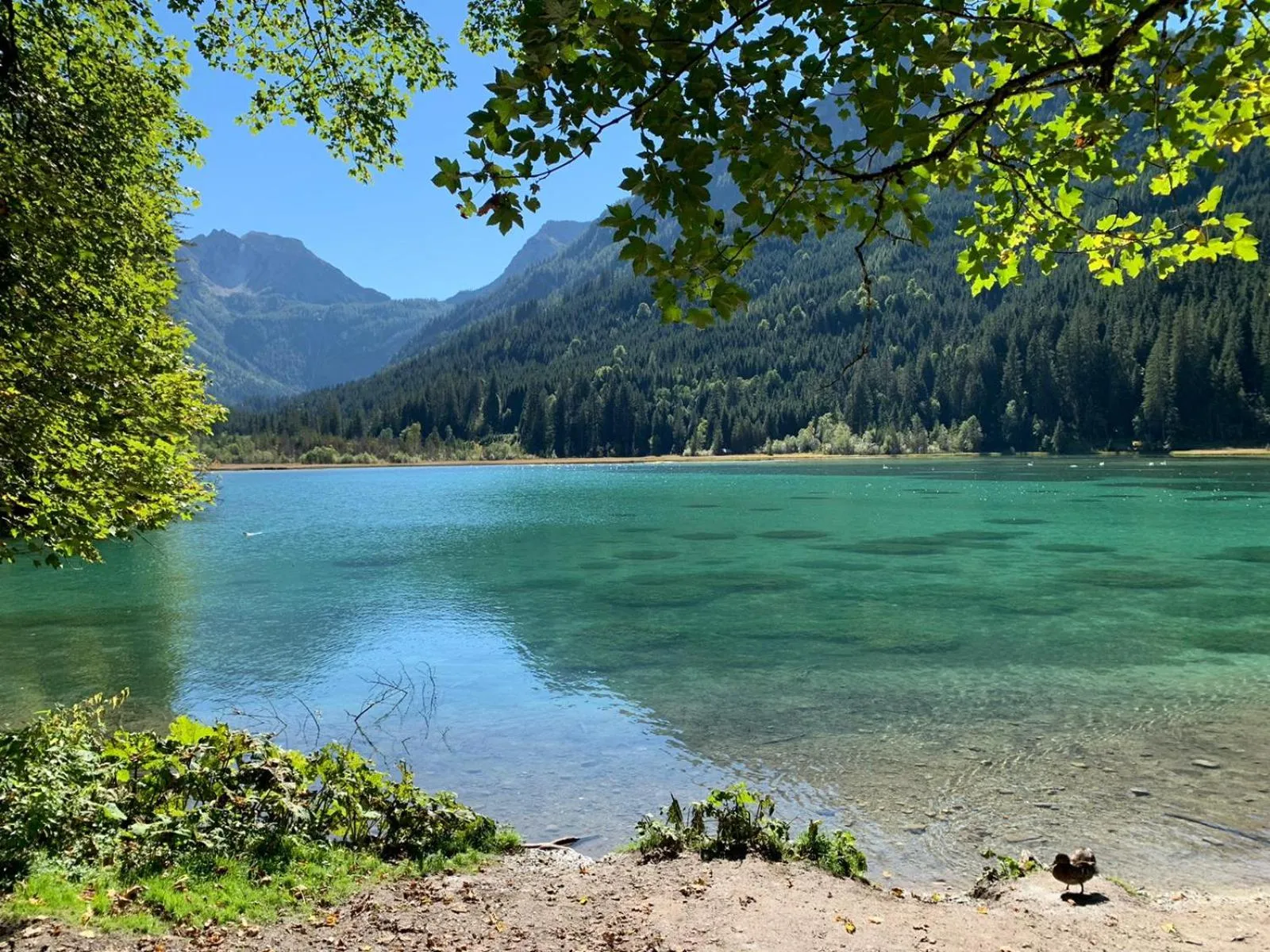 Nearby landmark in Hotel Guggenberger