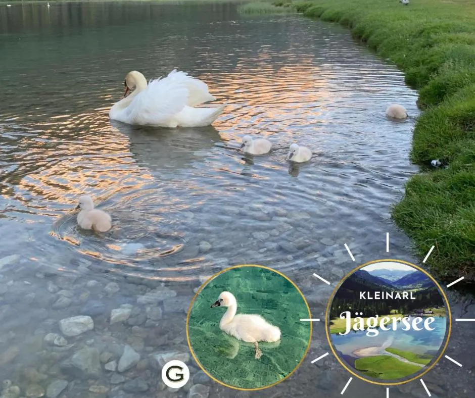 Natural landscape in Hotel Guggenberger