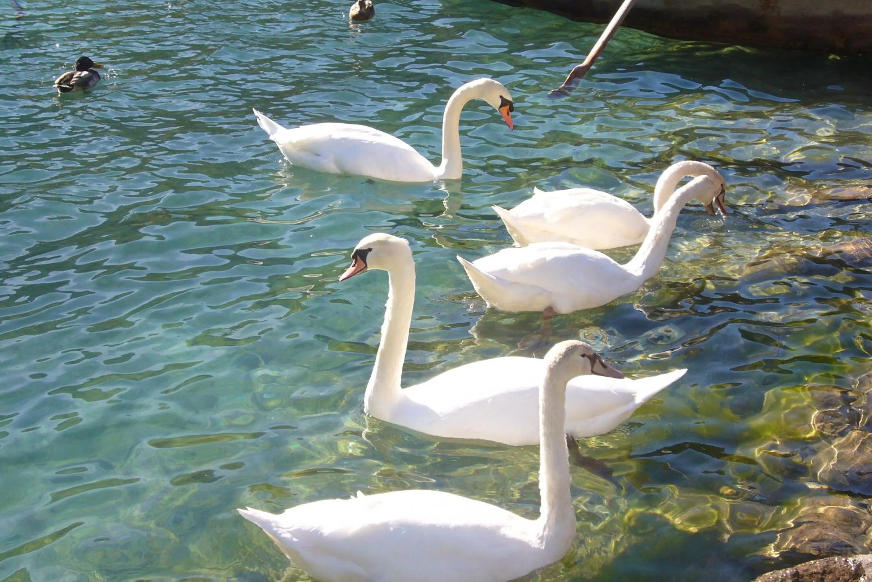 Summer in Hotel Guggenberger