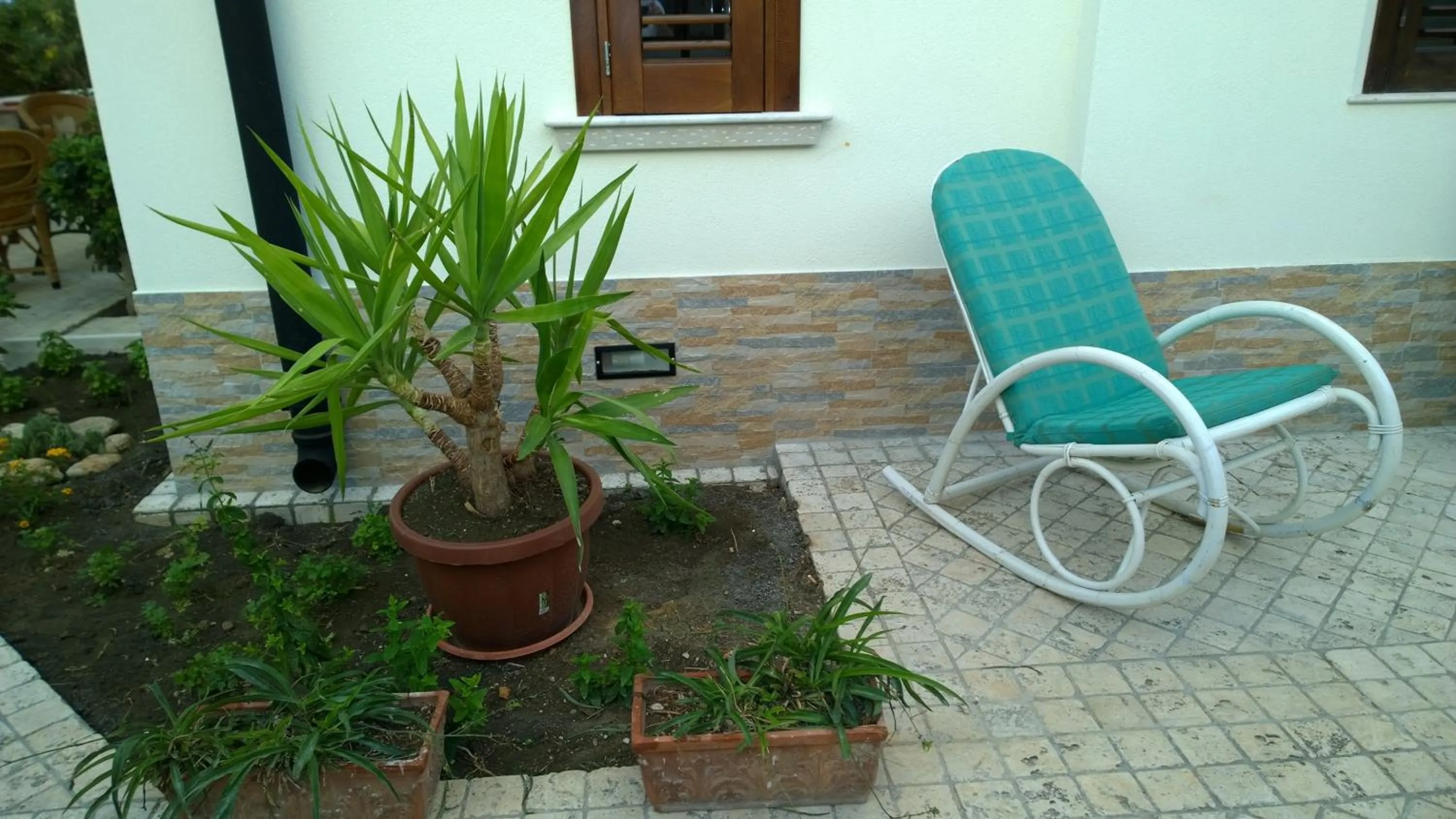 Garden in B&B Villa Bea