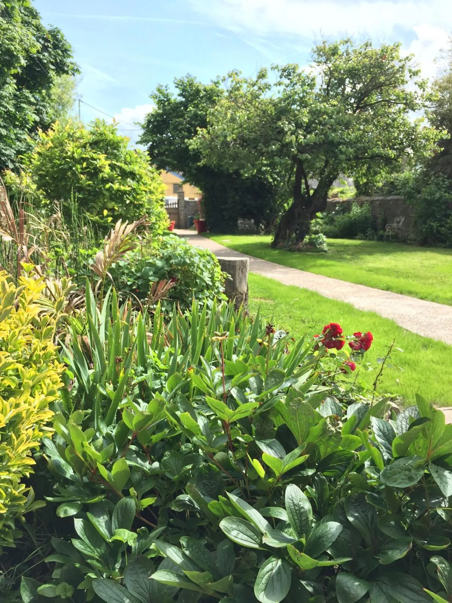 Garden in L'Ermitage
