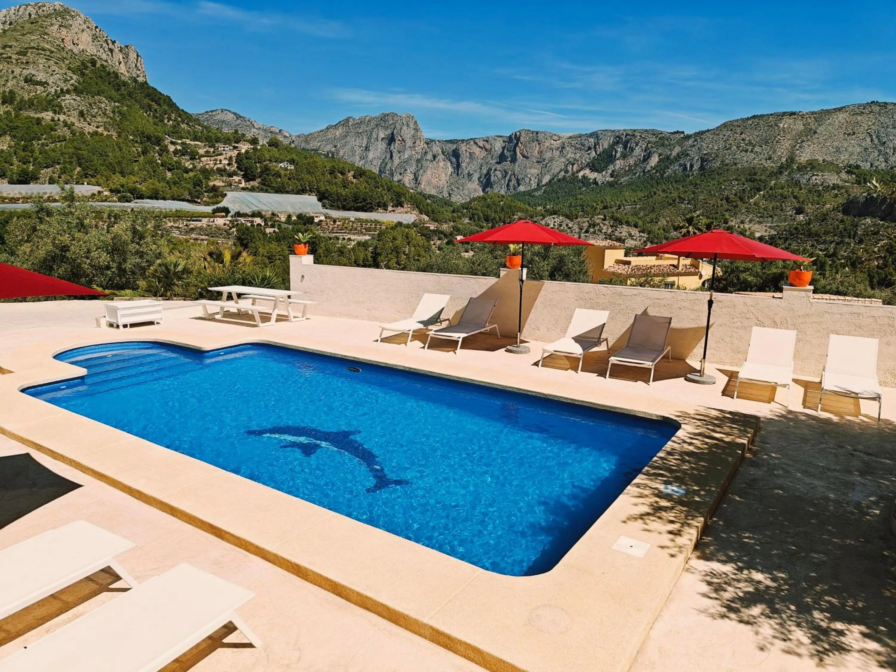 Swimming pool in Finca Oliva