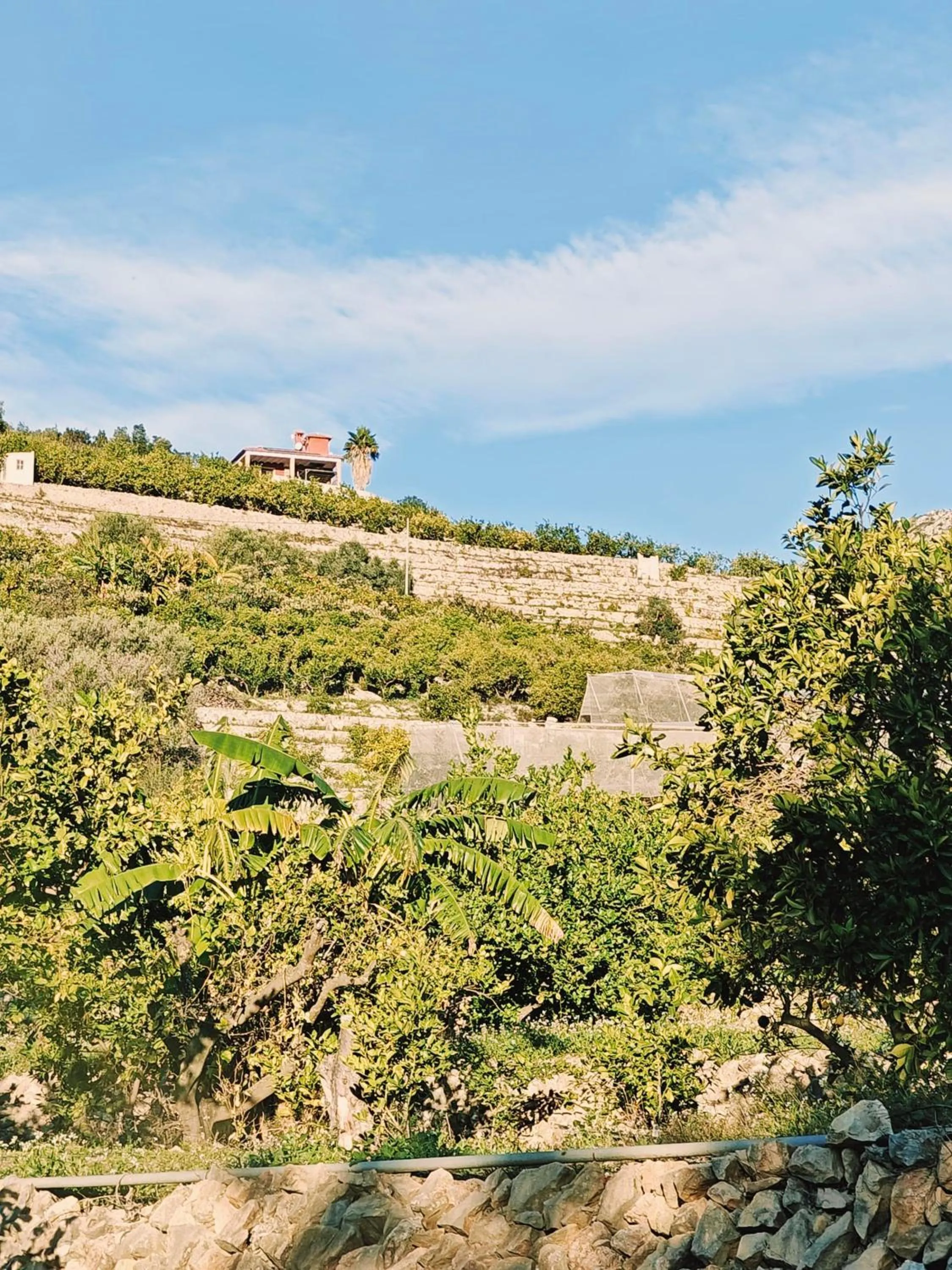 Property building in Finca Oliva