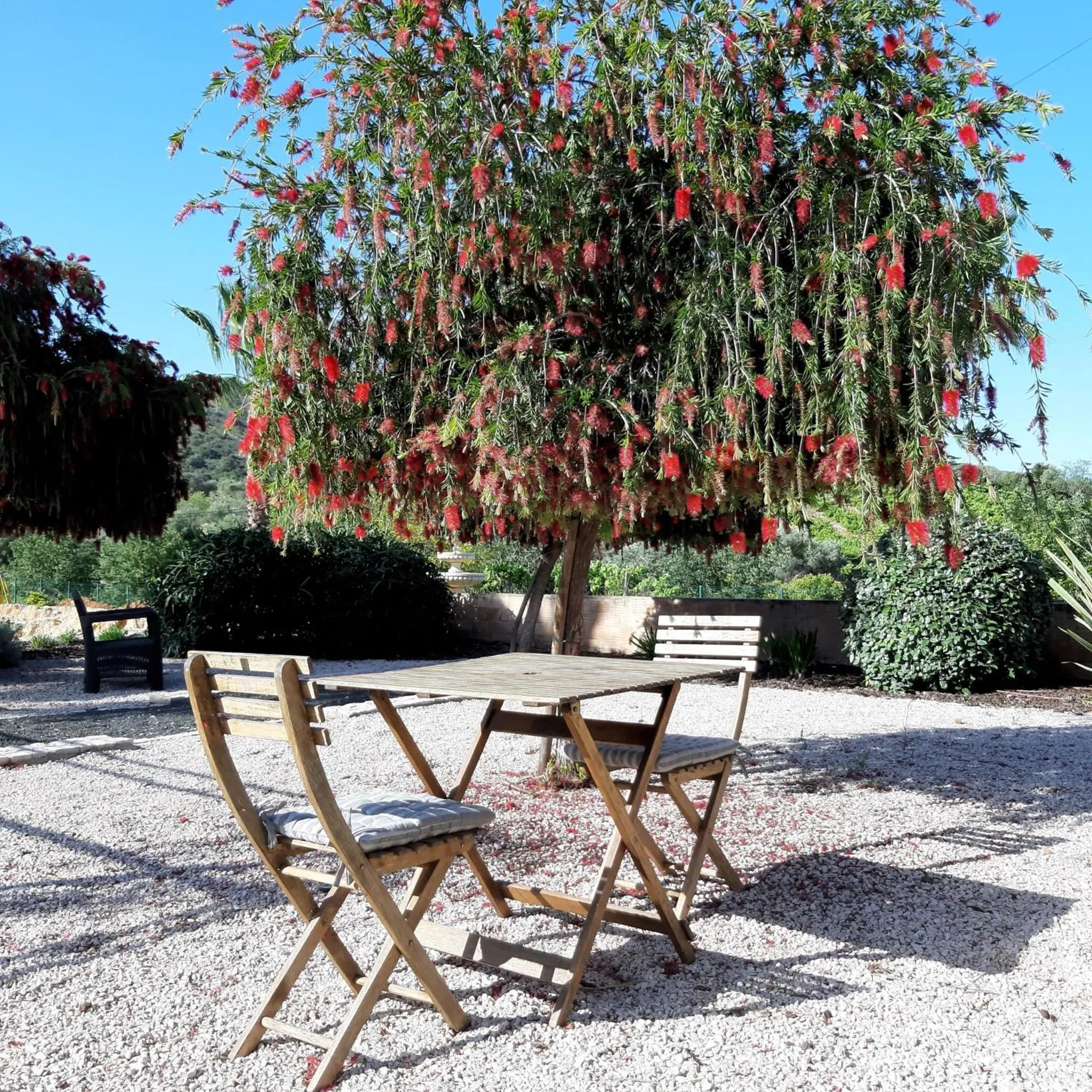 Garden in B&B Entrecolinas