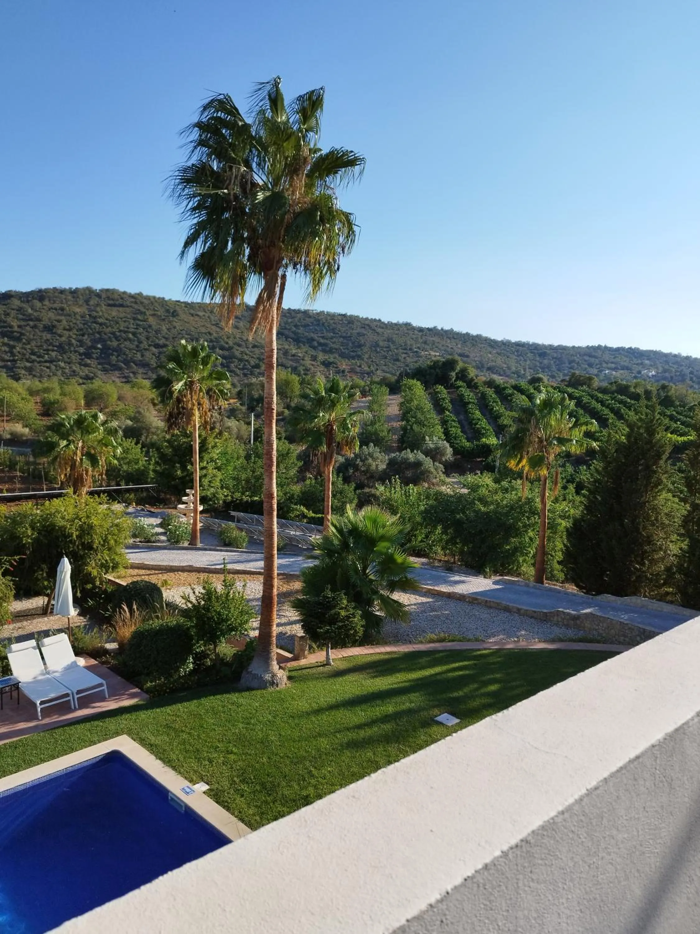 Natural landscape in B&B Entrecolinas