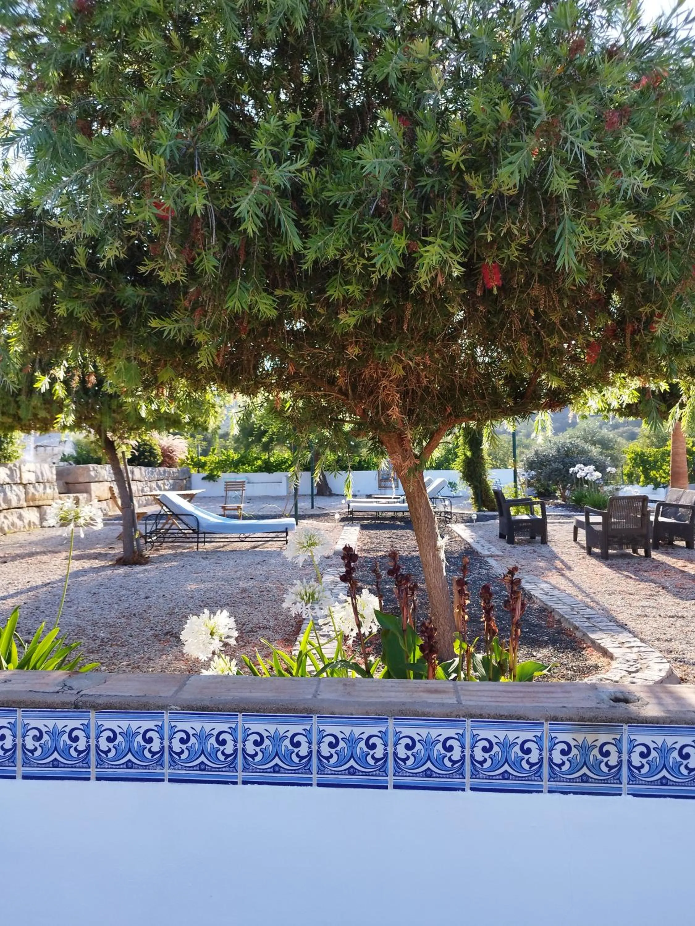 Garden in B&B Entrecolinas