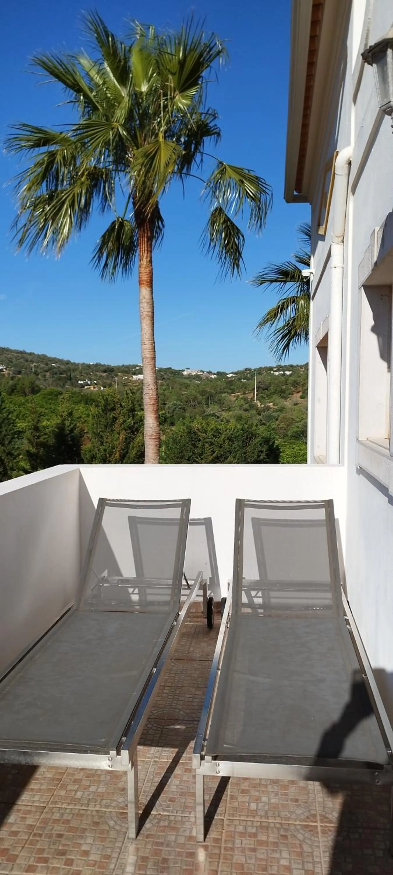 View (from property/room) in B&B Entrecolinas