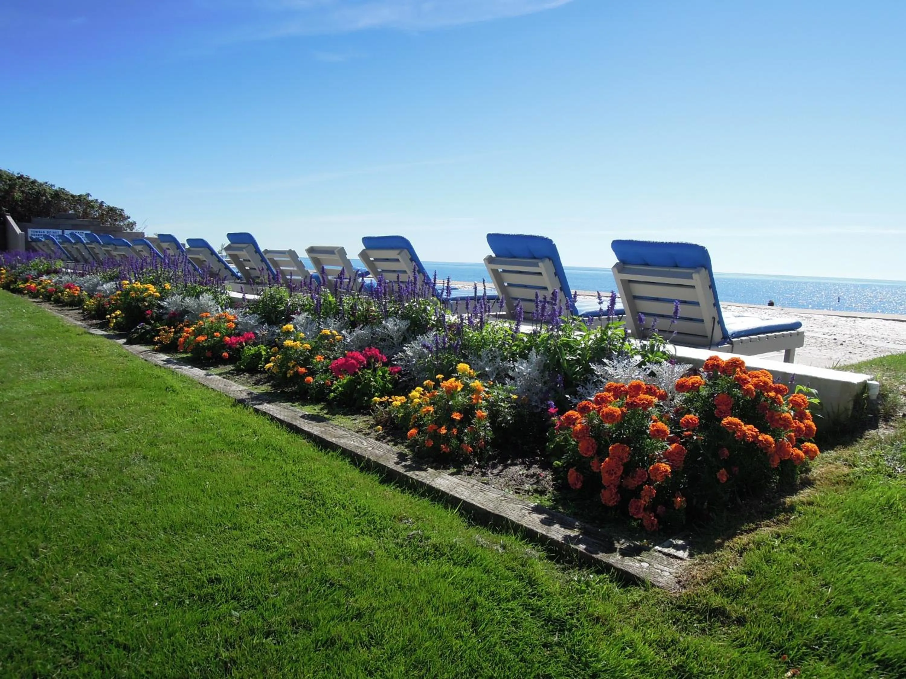 Garden in Surfcomber On The Ocean