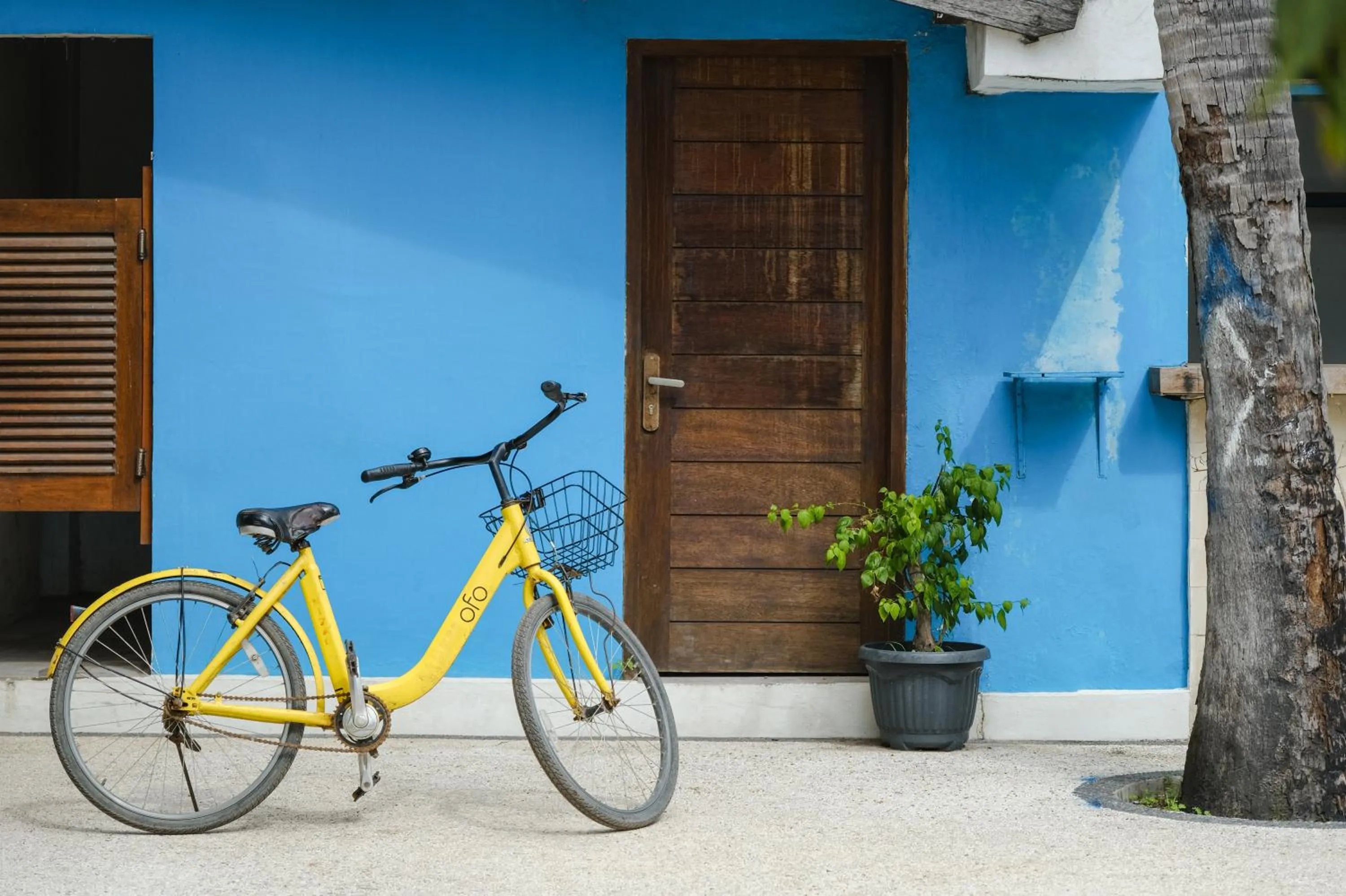 Day in Trawangan Nirvana