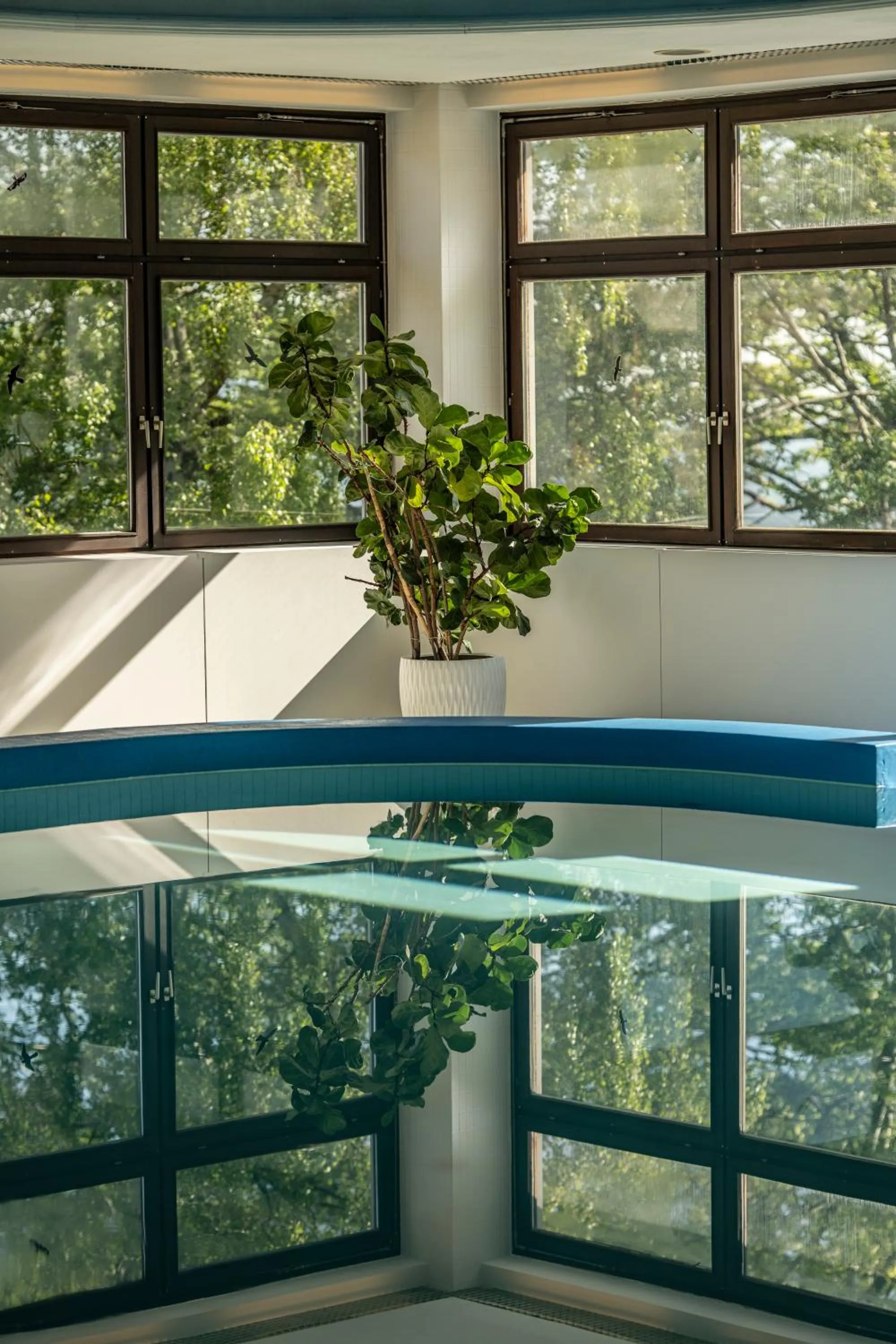 Spa and wellness centre/facilities in Sporthotel am Semmering