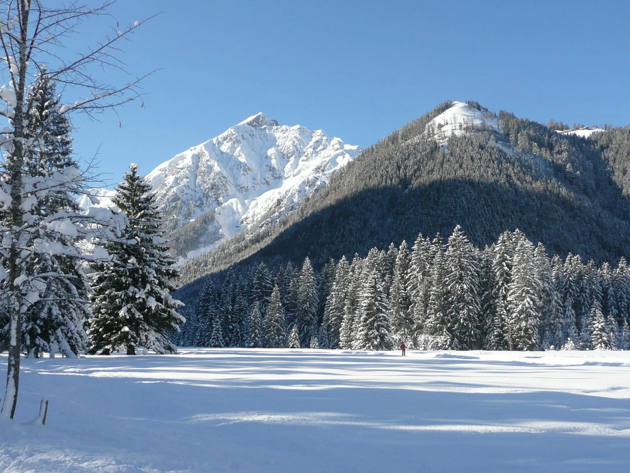 Area and facilities in Vier Jahreszeiten Wellnessresort Achensee