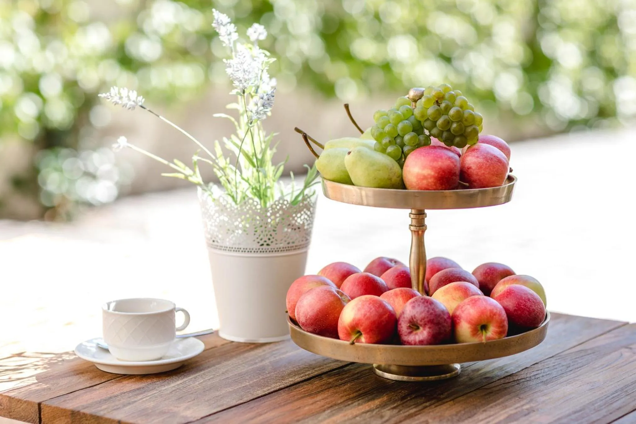 Balcony/Terrace in Winzerhotel Gumpoldskirchen