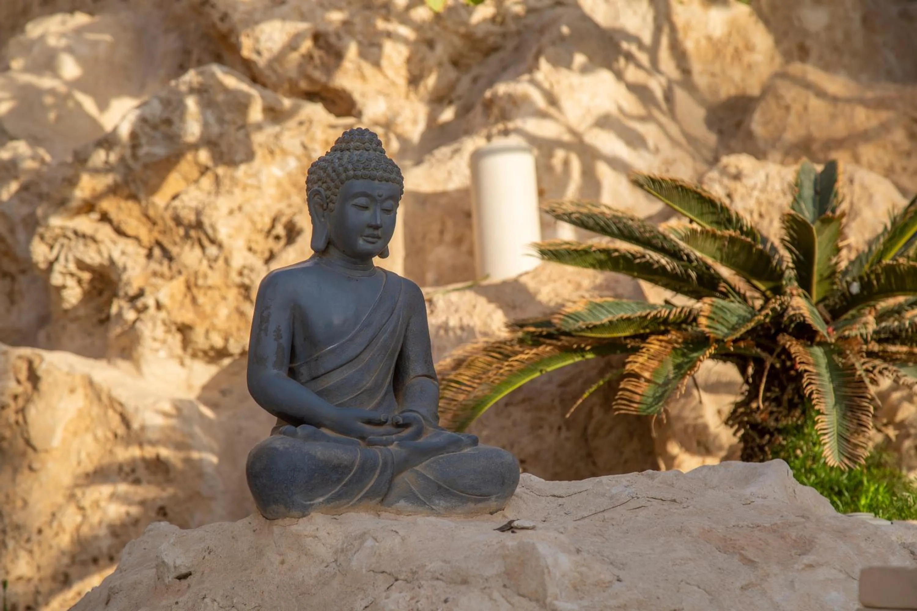 Restaurant/places to eat in The Makadi Spa Hotel - Couples Only 18 Years Plus