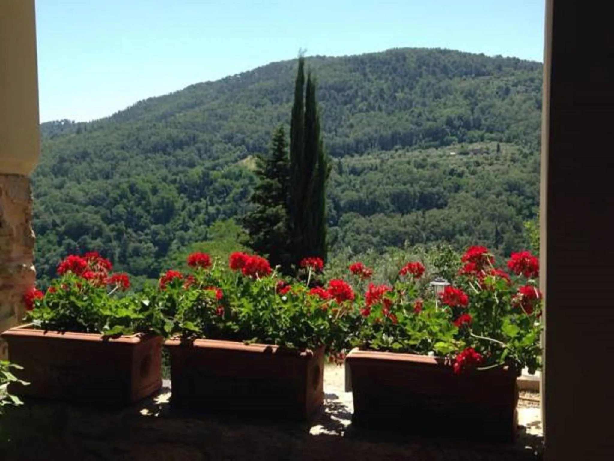 Mountain view in Agriturismo Villa Dauphiné