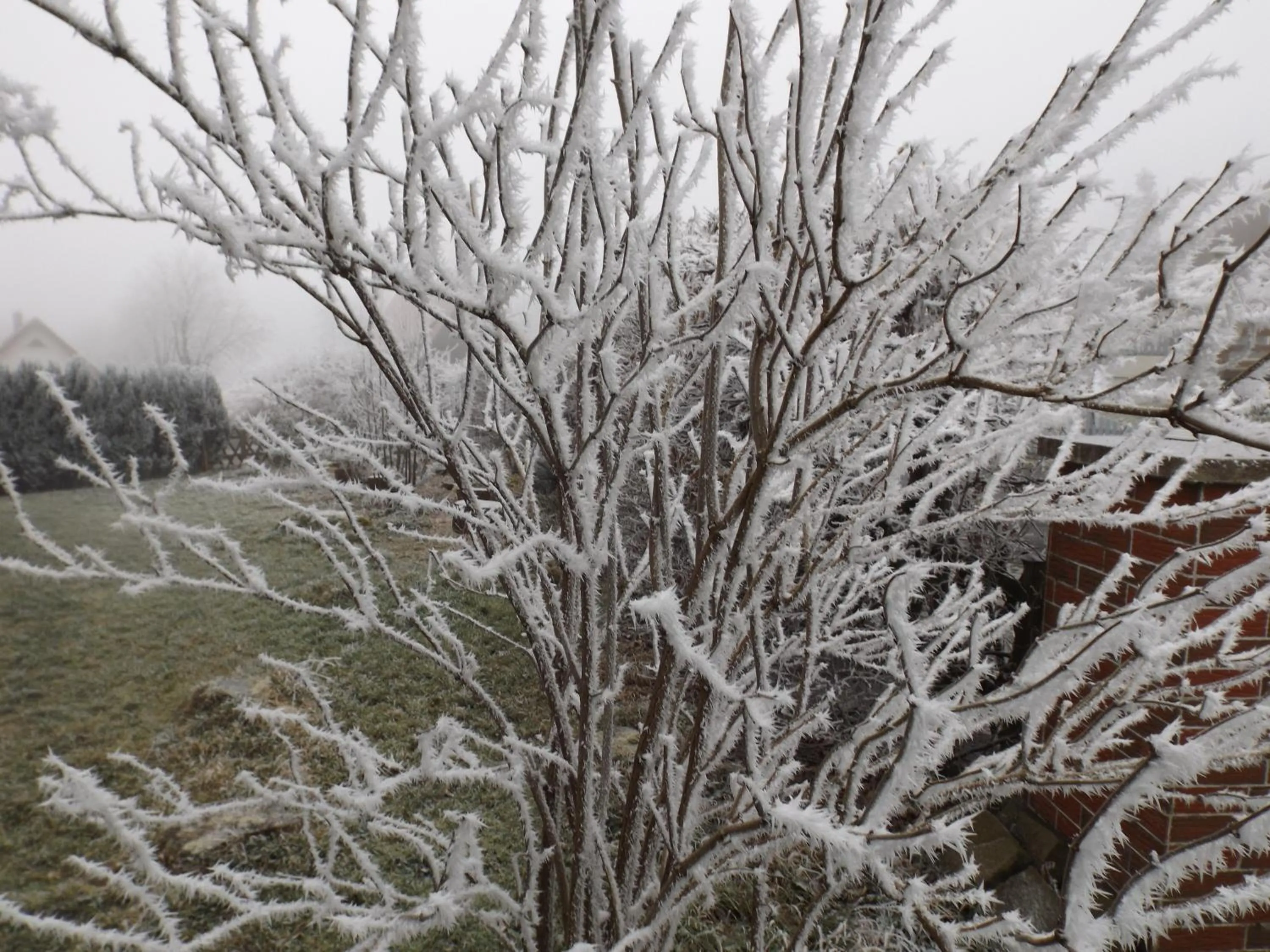 Natural landscape in Premium-Ferienwohnungen Bergblick im Haus Hopfe