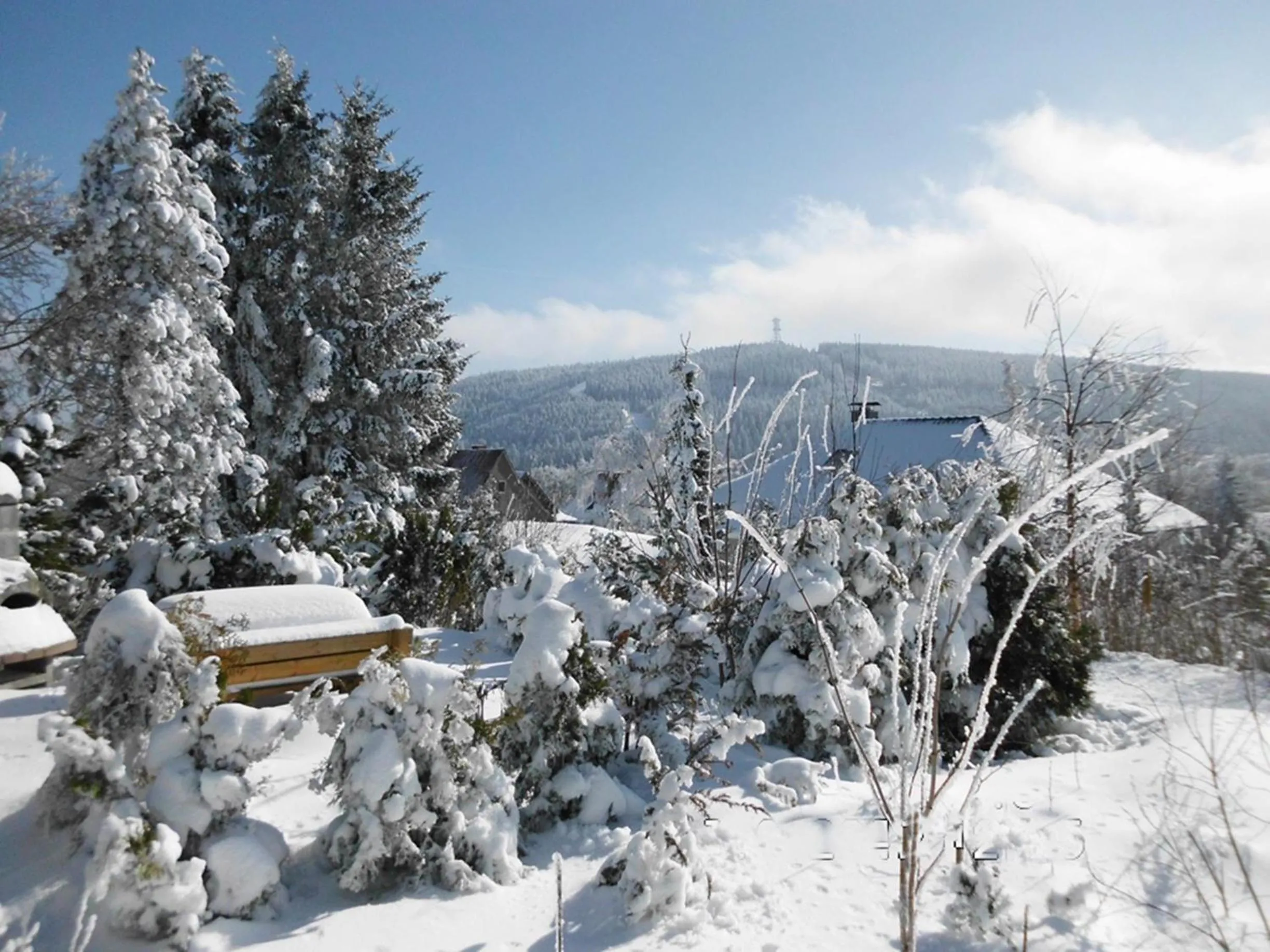 Garden view in Premium-Ferienwohnungen Bergblick im Haus Hopfe