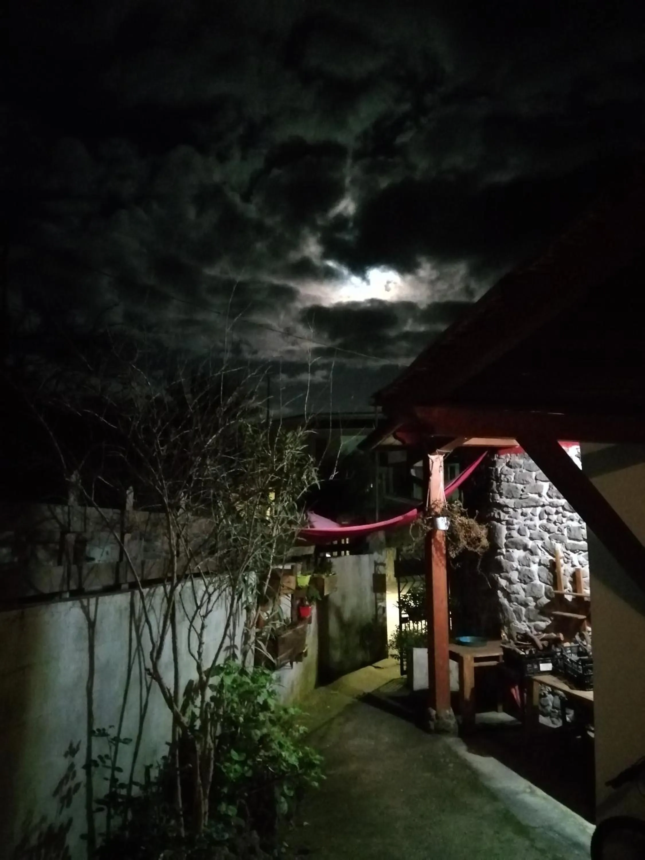 Garden in B&B Daddanca