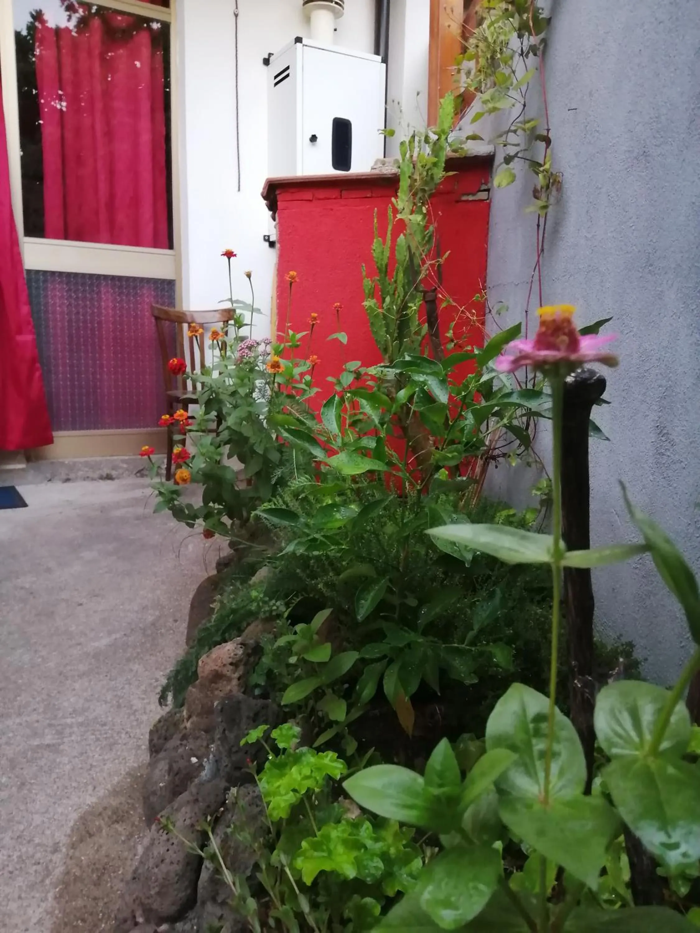 Garden in B&B Daddanca