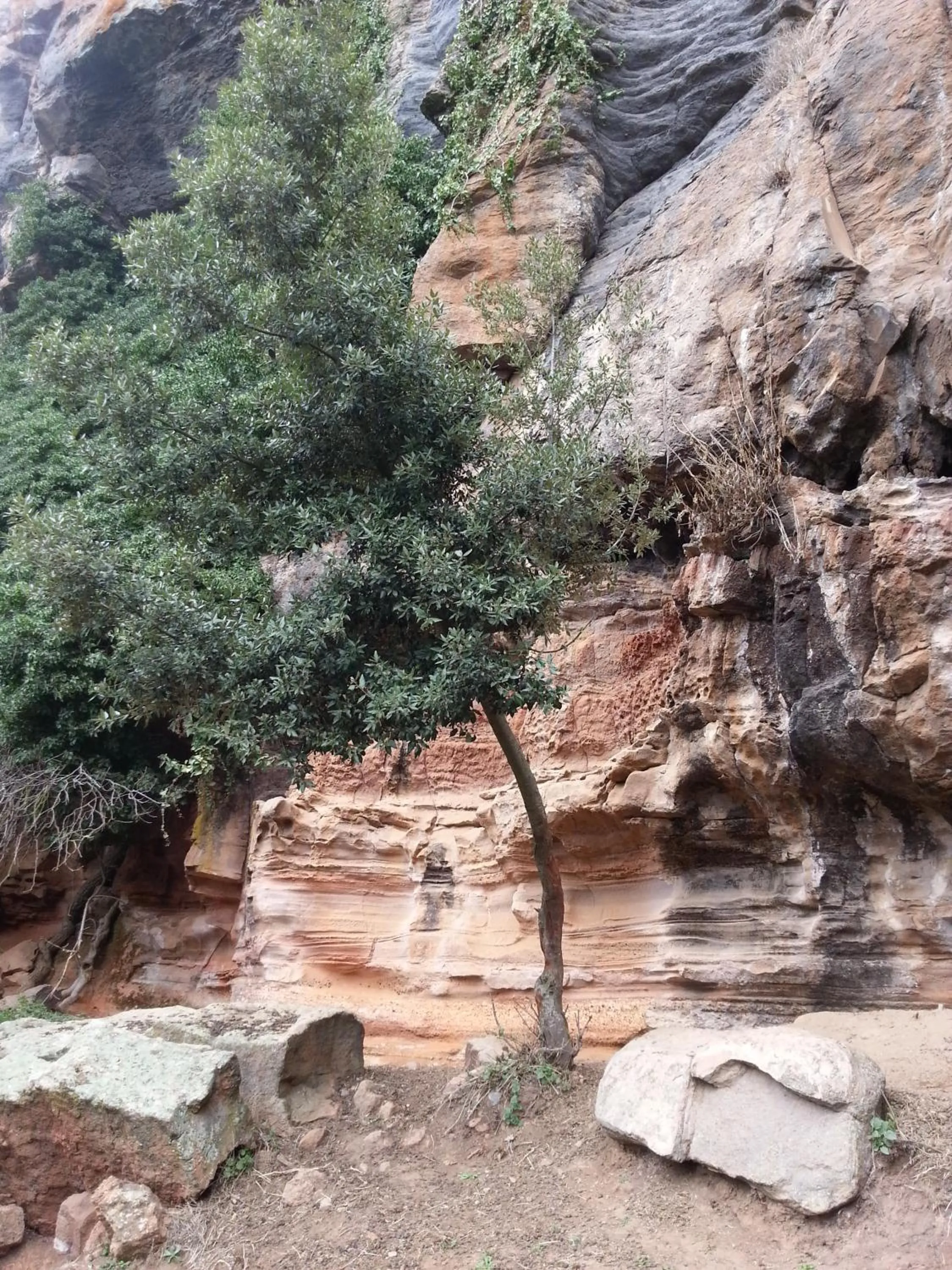 Natural landscape in B&B Daddanca