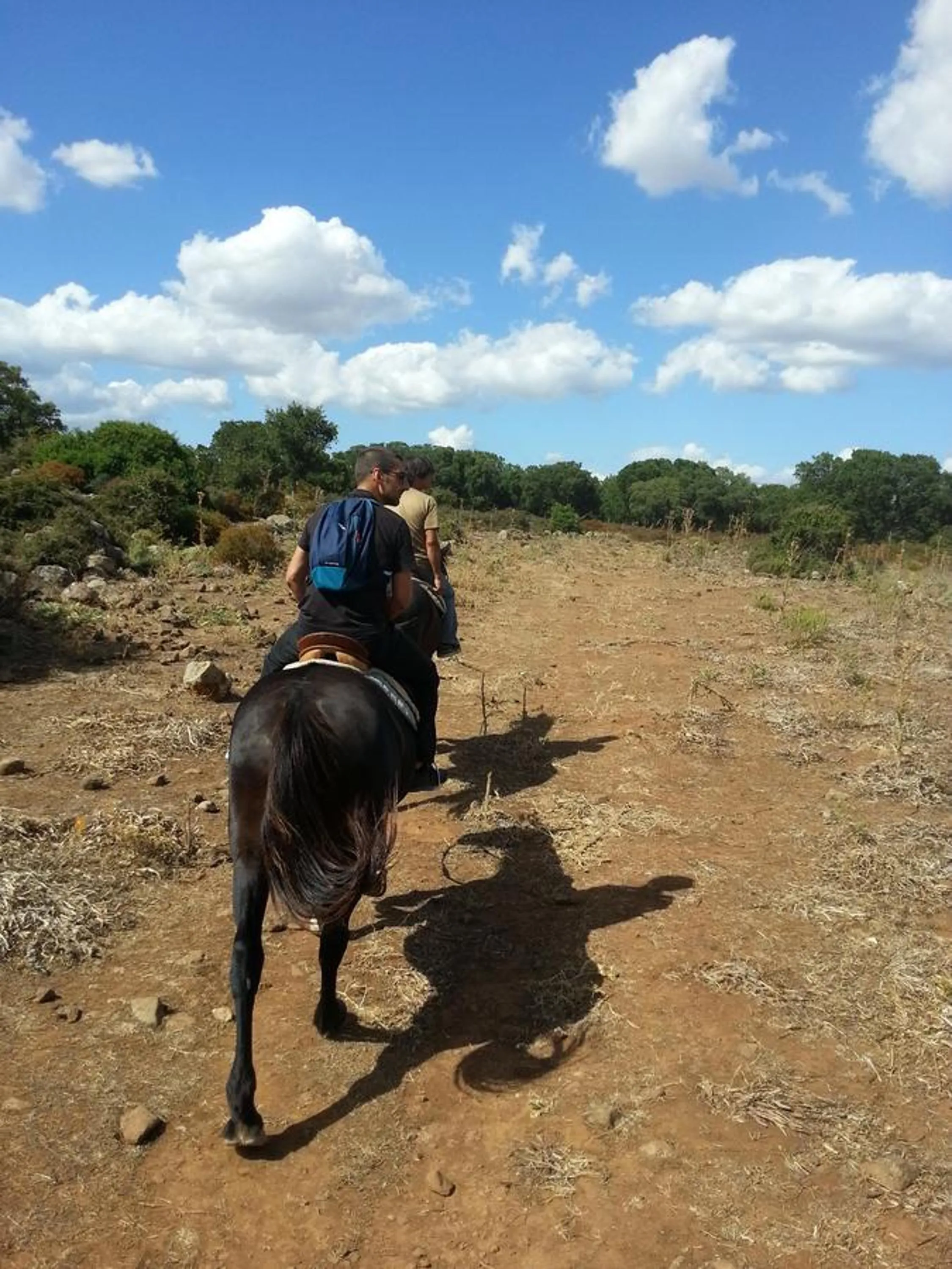 Horse-riding in B&B Daddanca