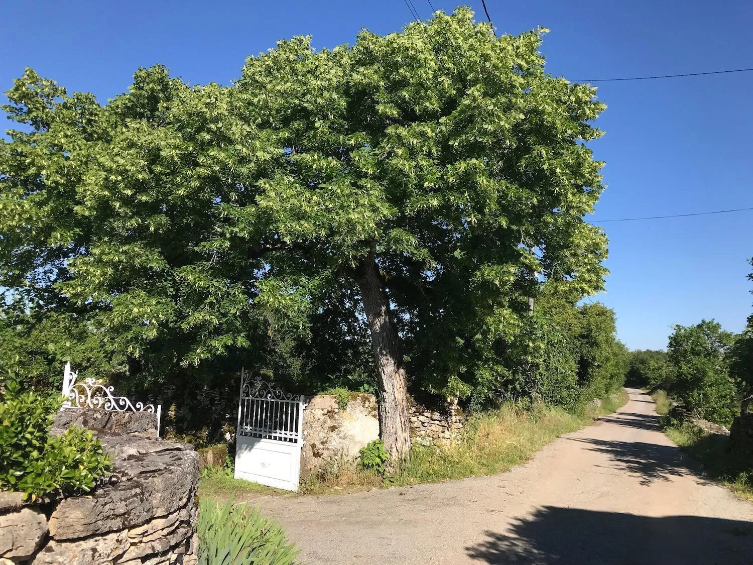 Facade/entrance in Chambres d'hôtes Pech Blanc