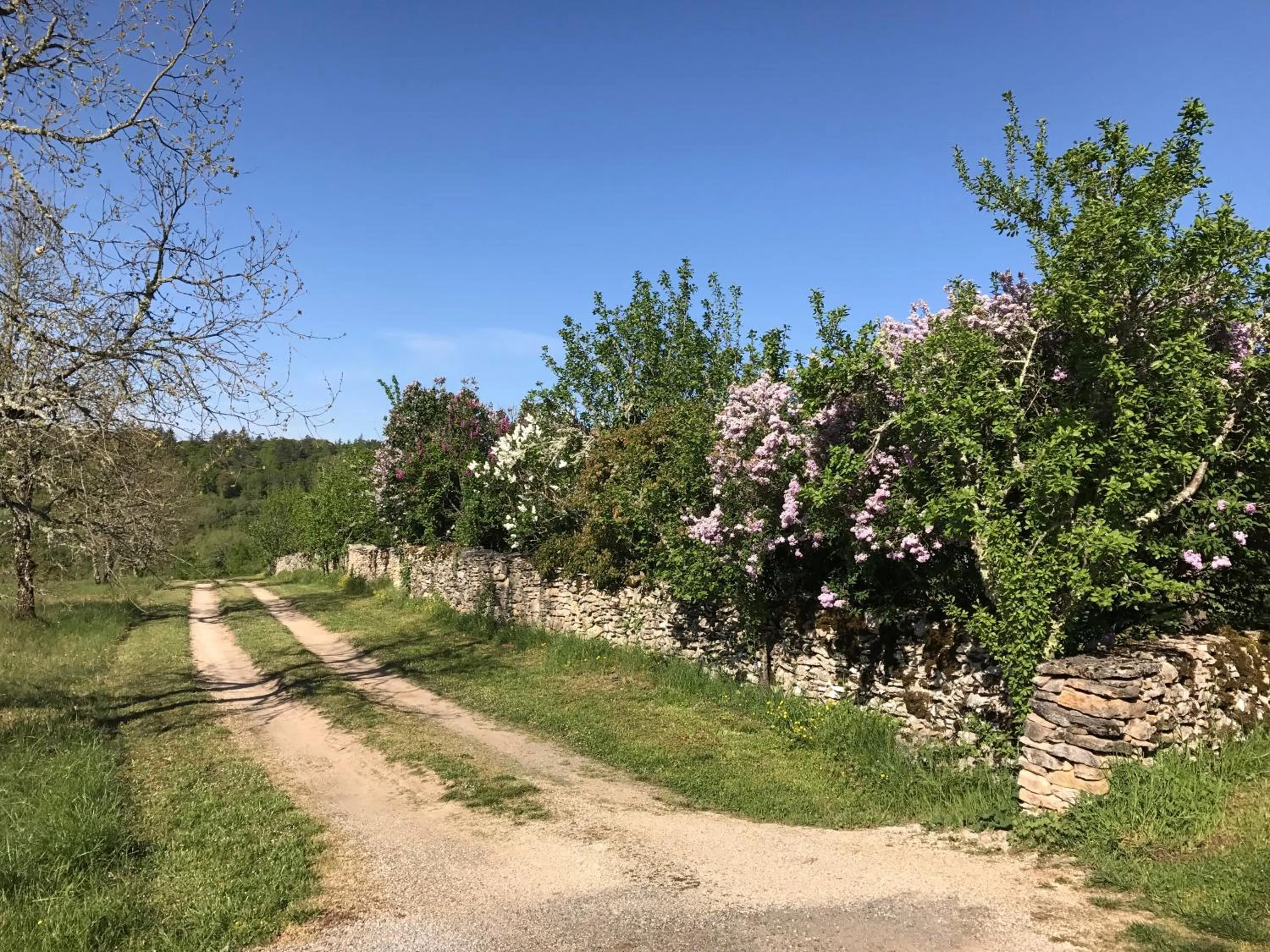 Natural landscape in Chambres d'hôtes Pech Blanc