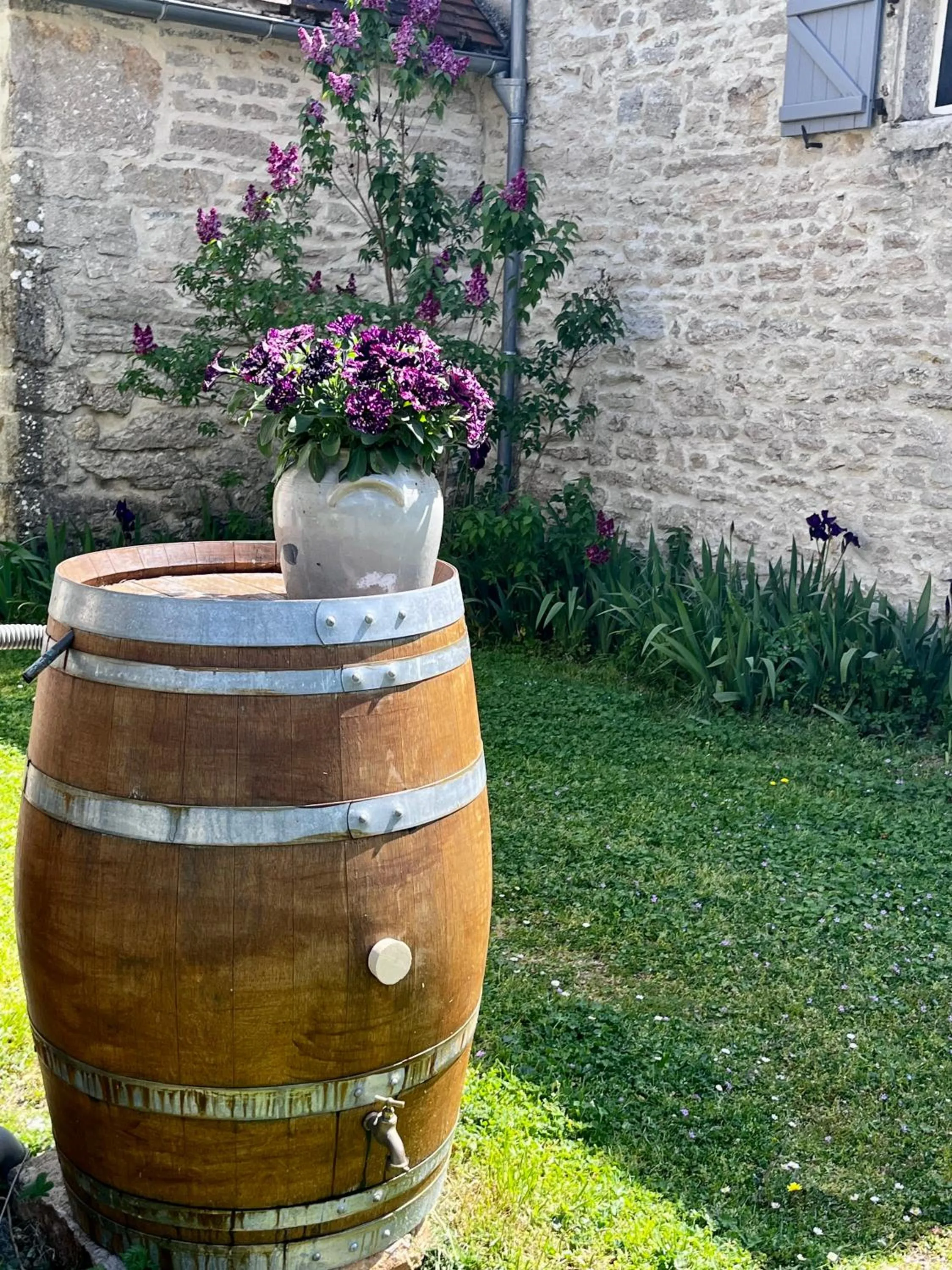 Garden in Chambres d'hôtes Pech Blanc