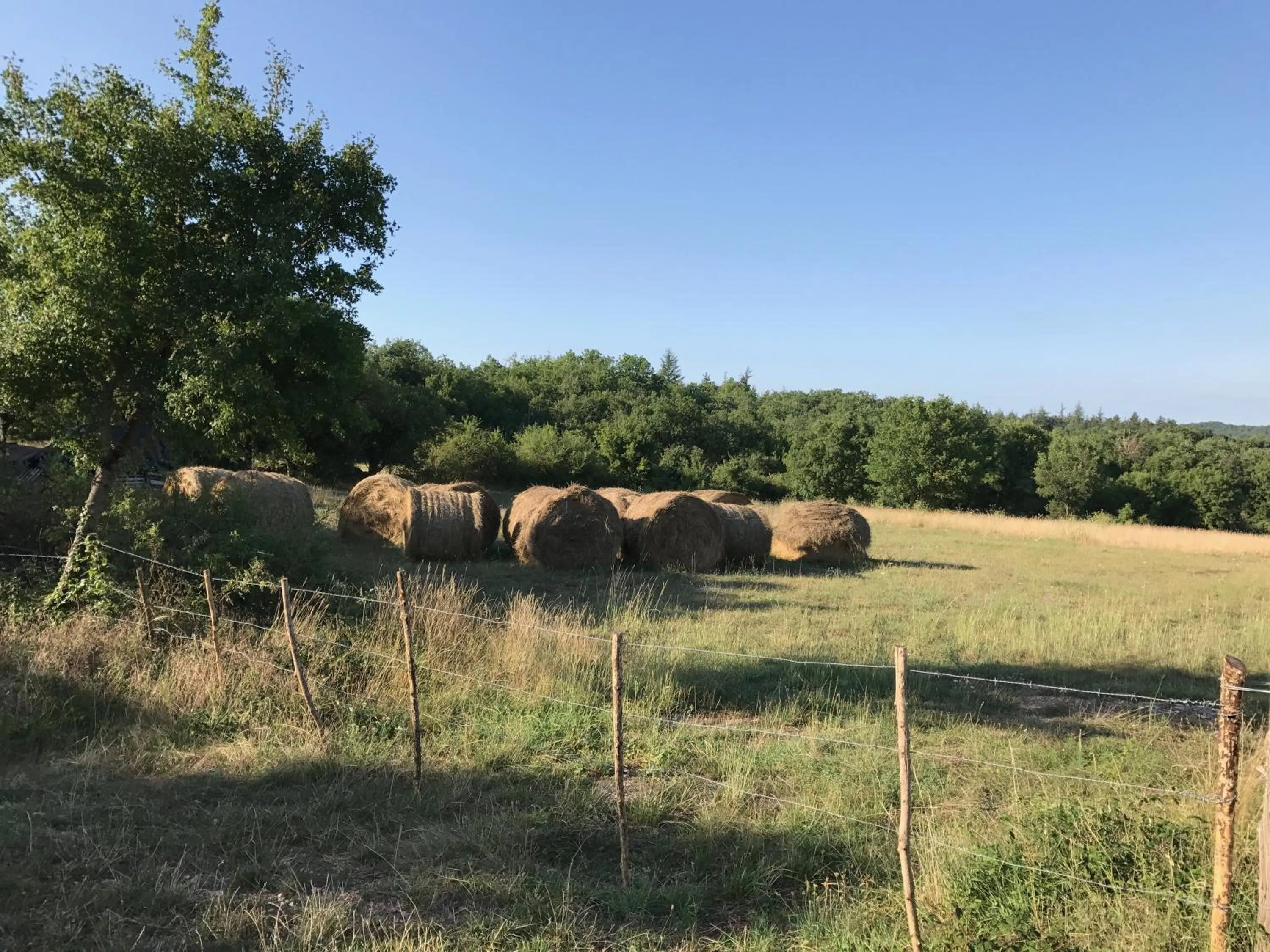 Natural landscape in Chambres d'hôtes Pech Blanc