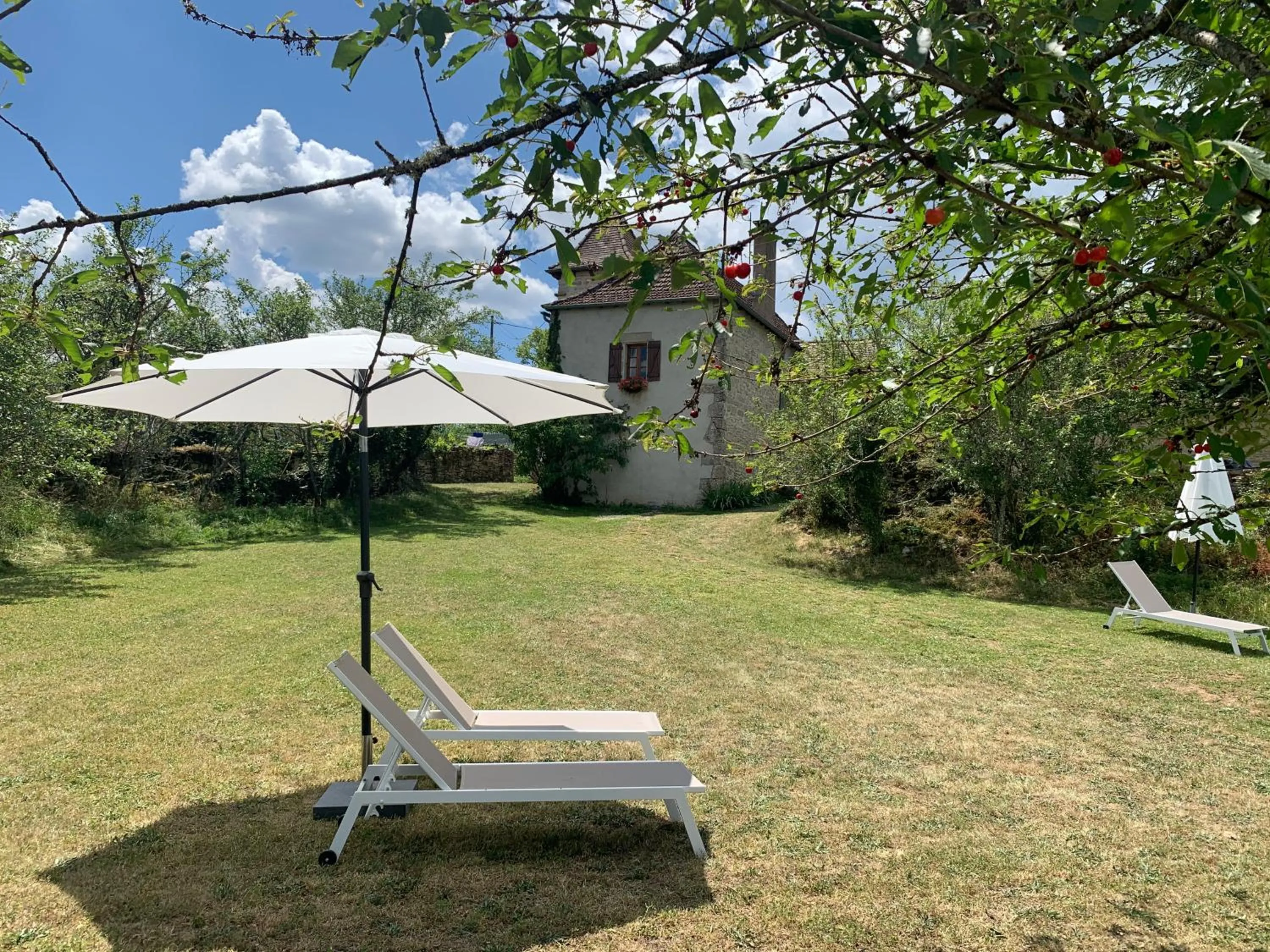 Garden in Chambres d'hôtes Pech Blanc
