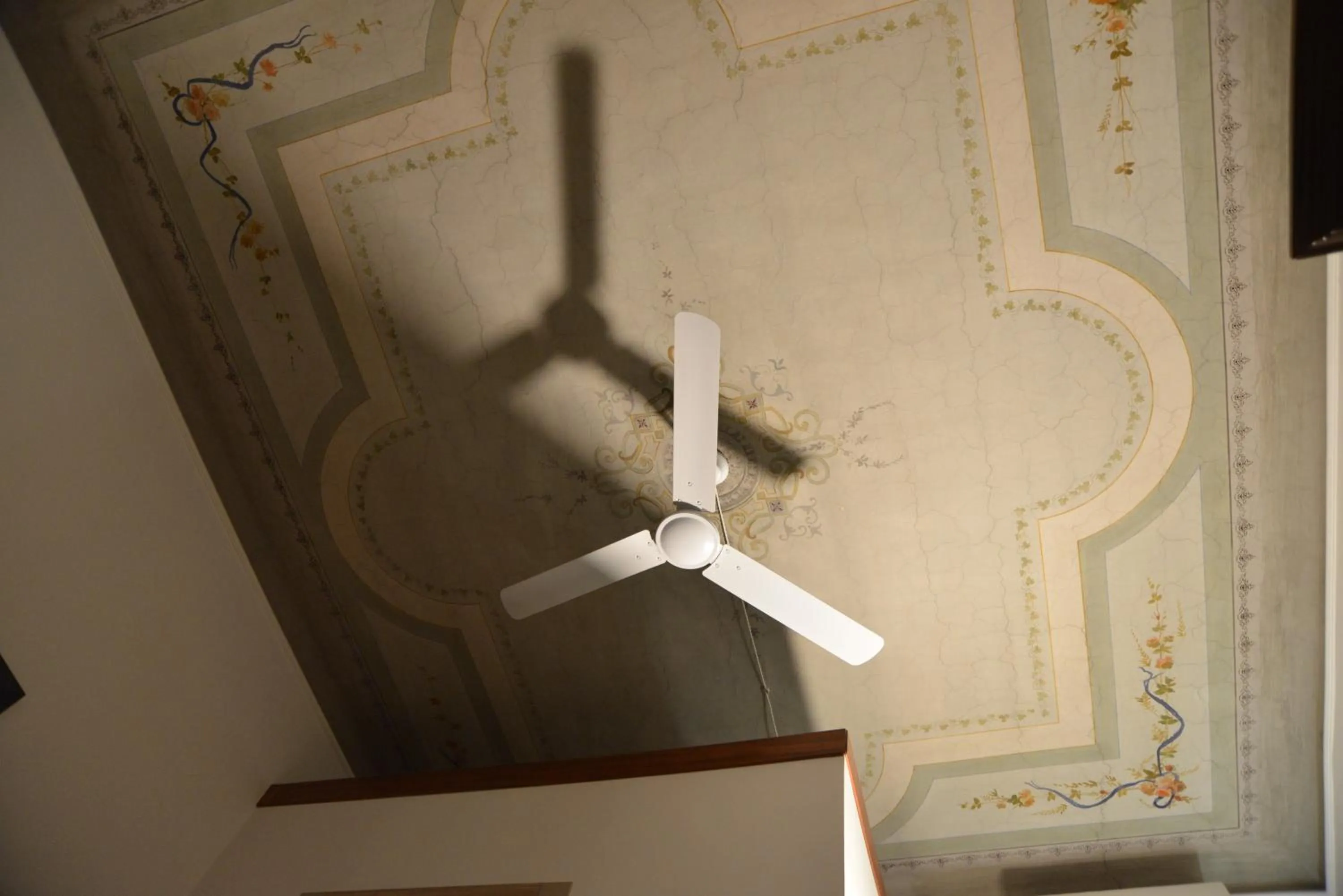 Photo of the whole room in Roma sogno infinito