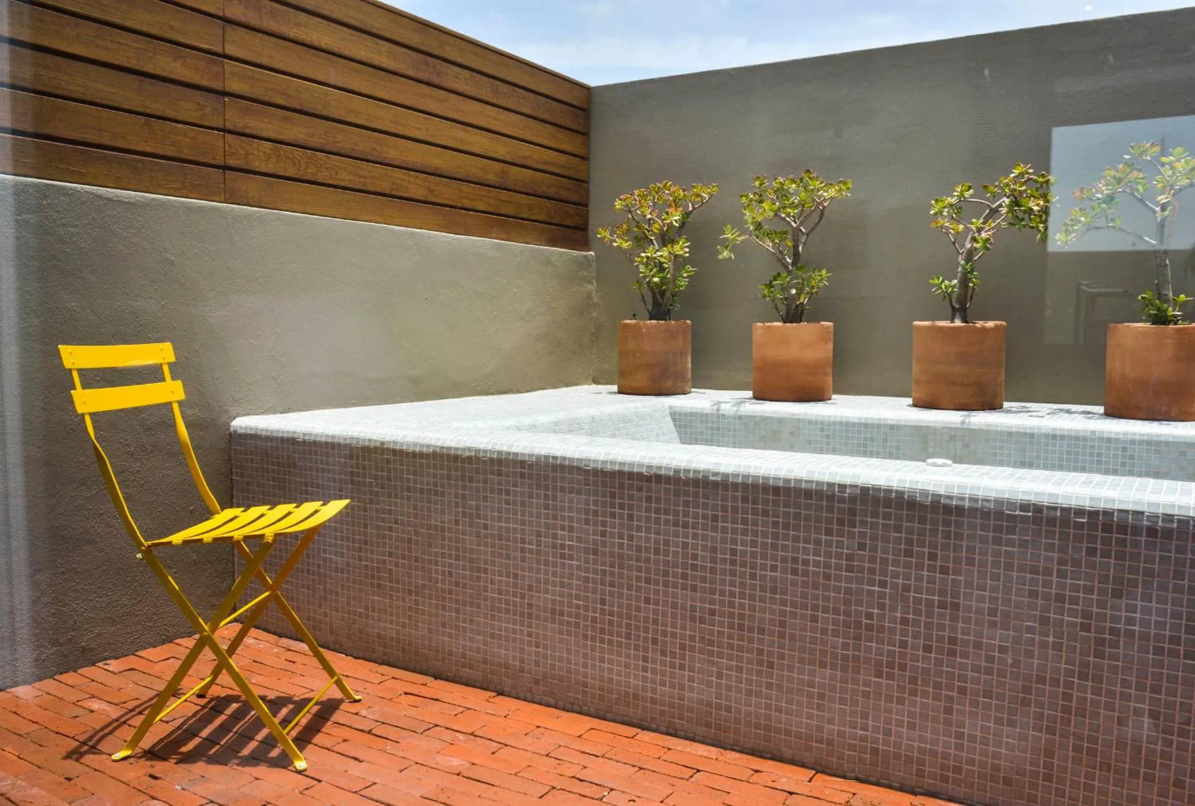 Patio in Hotel Criol