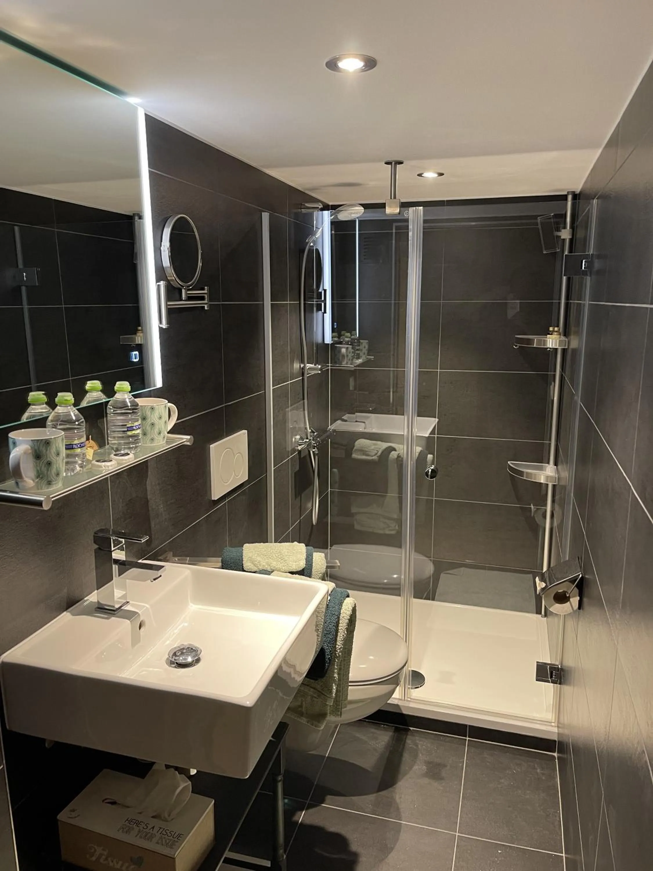 Bathroom in B&B De Eifelhoeve