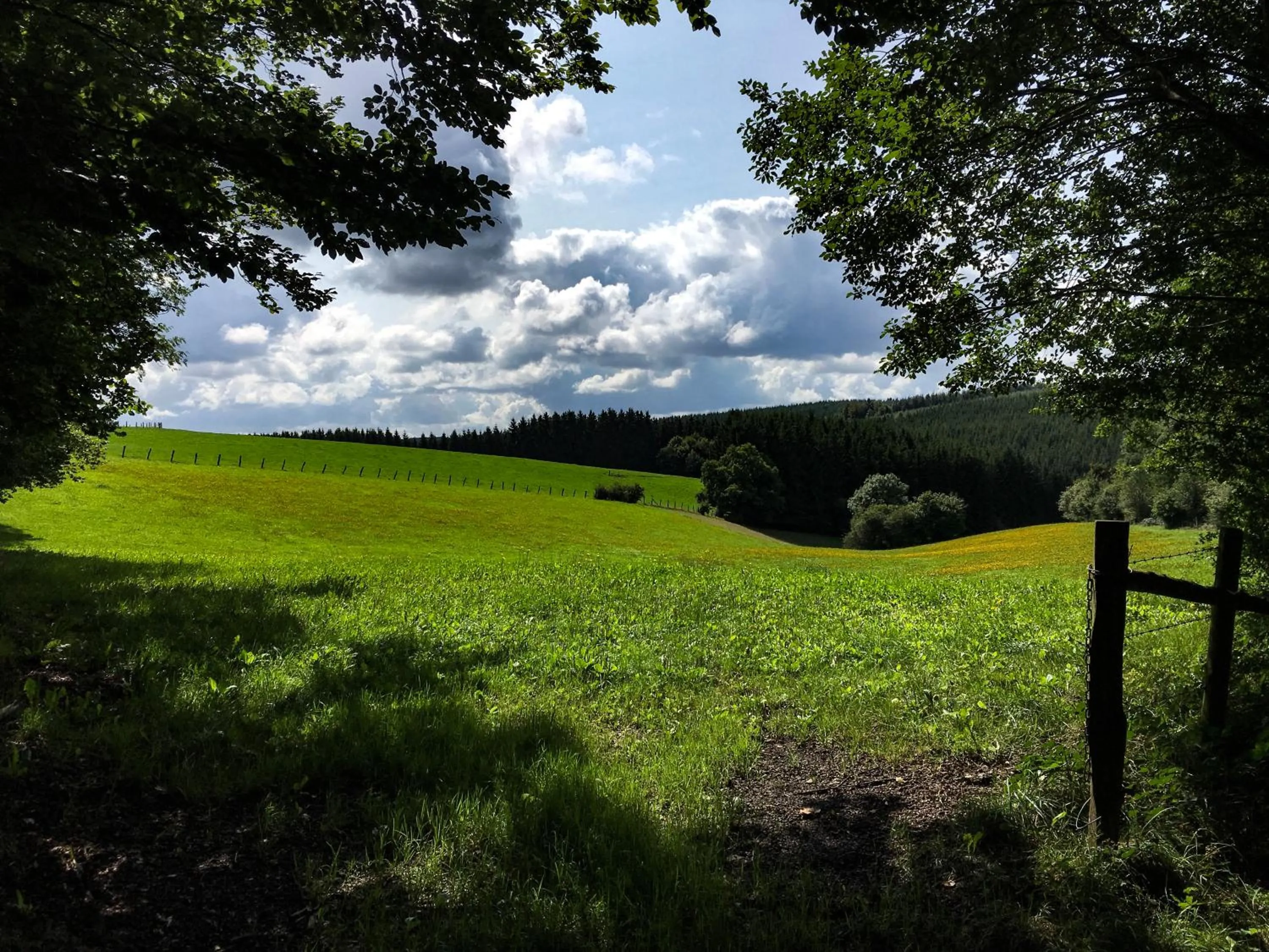 Natural landscape in B&B De Eifelhoeve