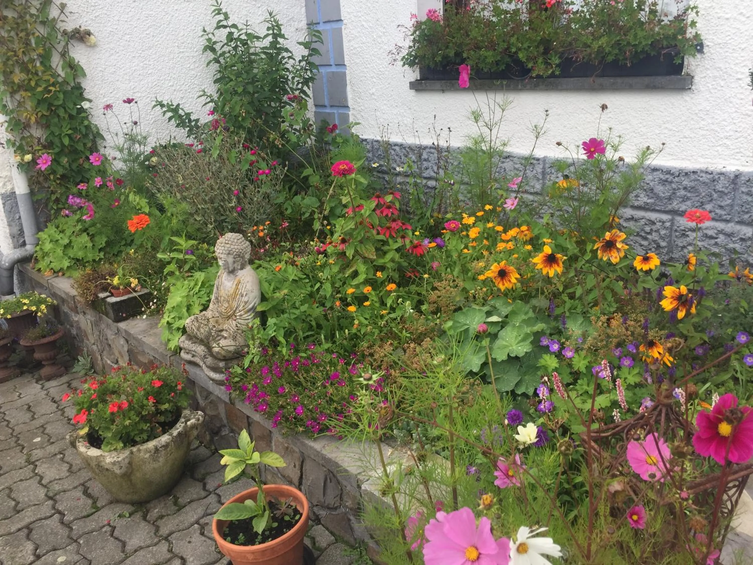 Garden view in B&B De Eifelhoeve