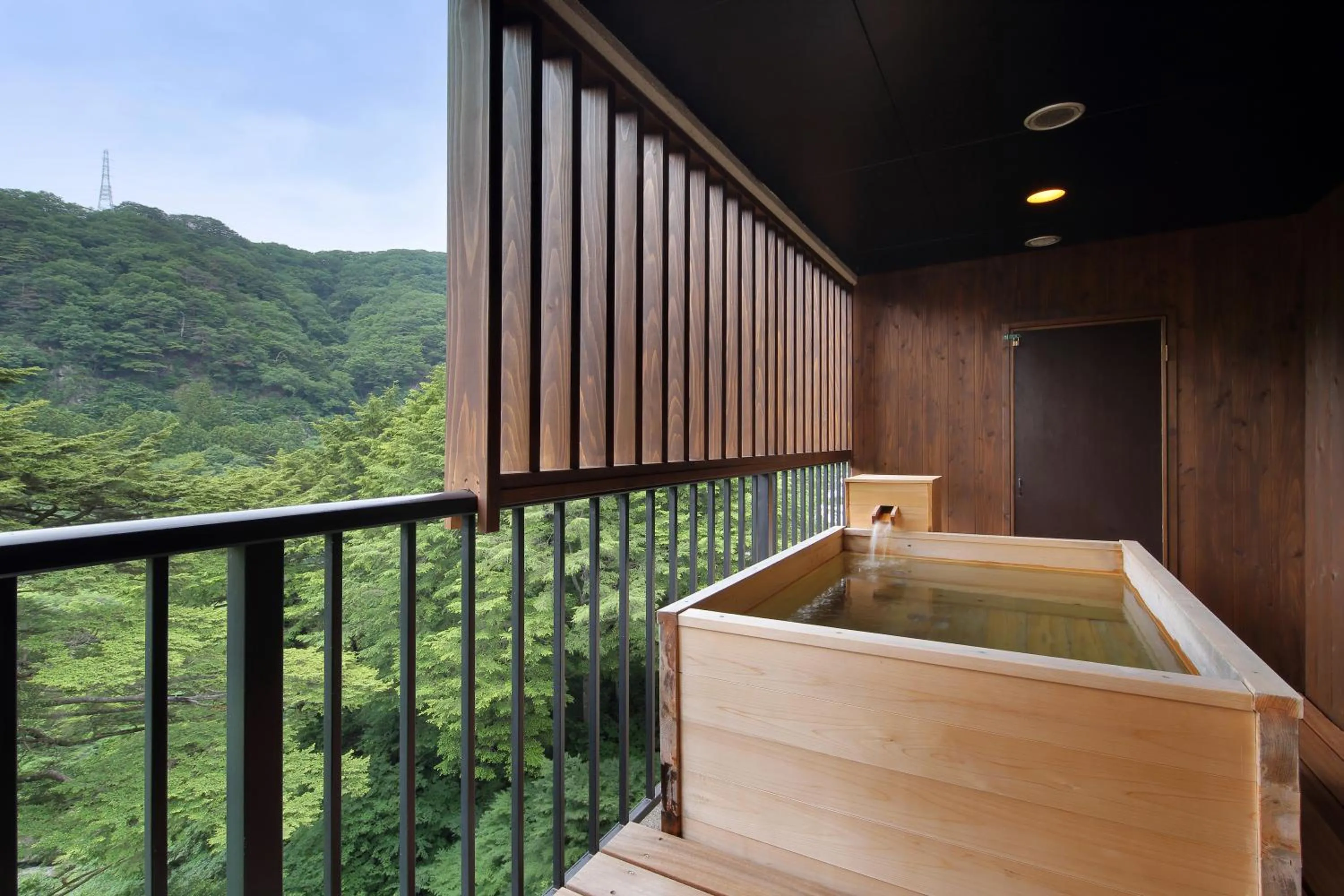 Natural landscape in Tsuganoki