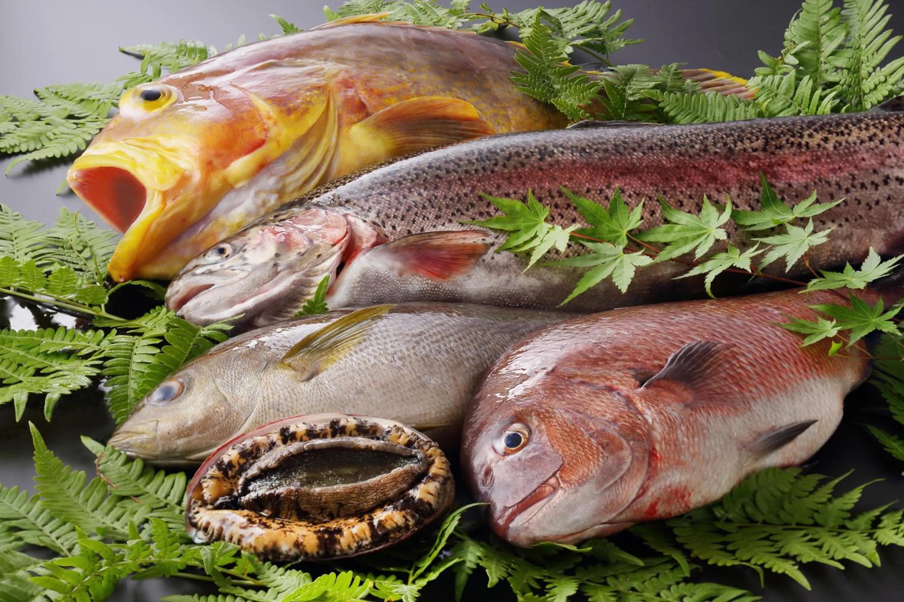 Food close-up in Tsuganoki