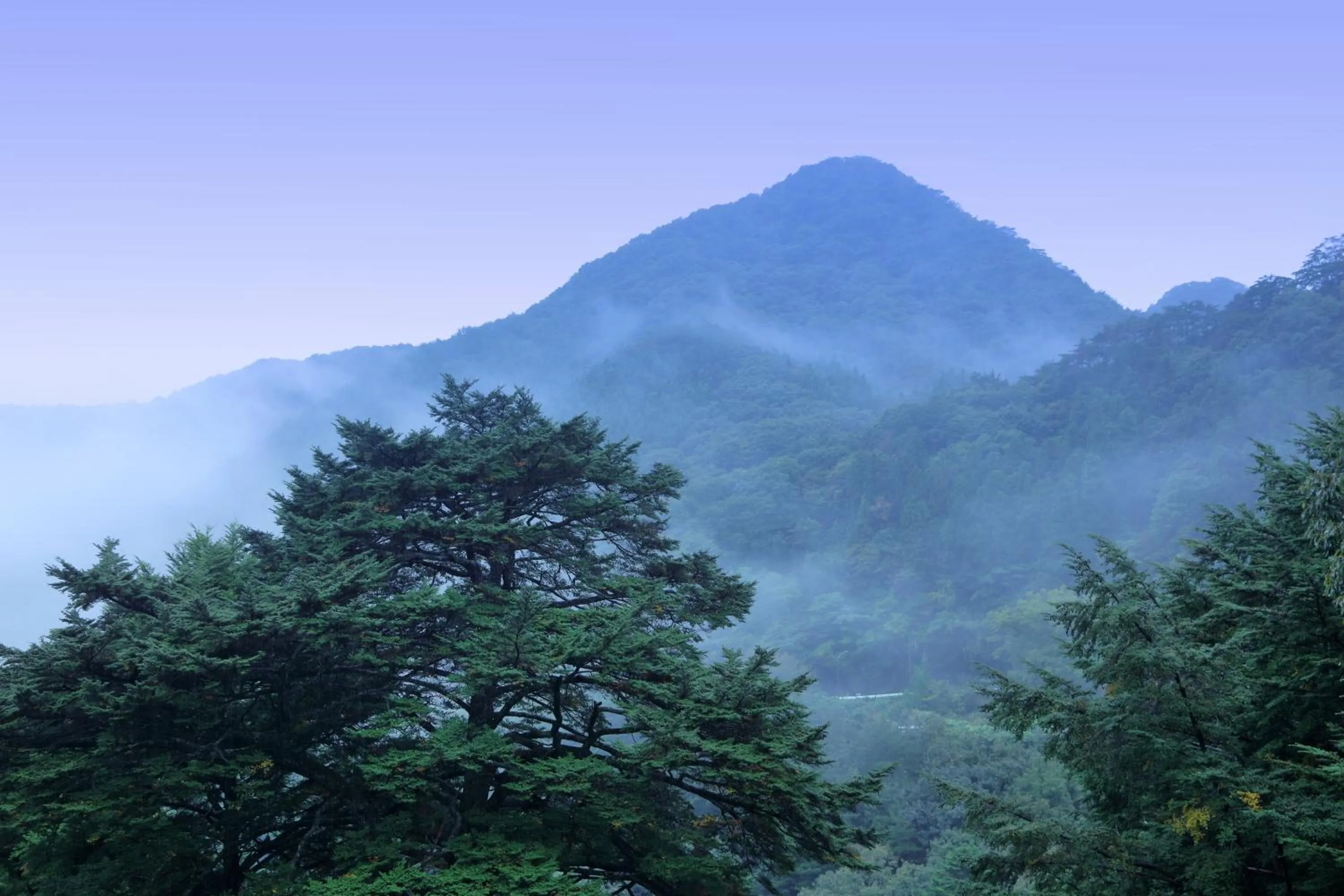 Natural landscape in Tsuganoki