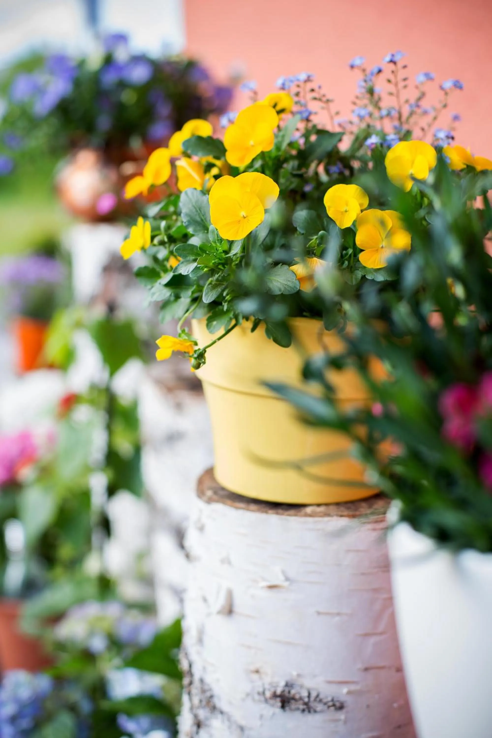 Patio in Hotel Garni Sohler