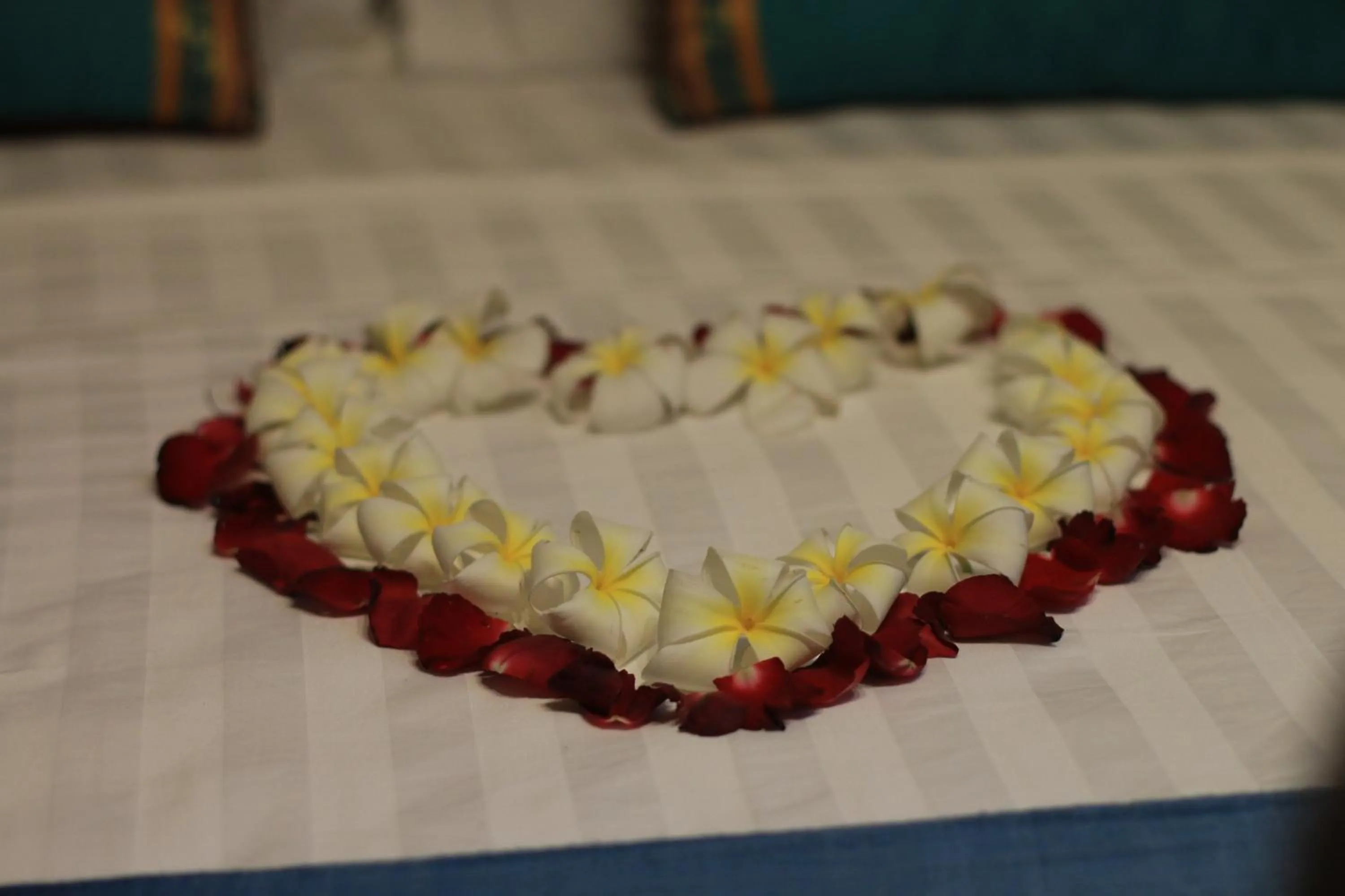 Other in Green Bird Villa