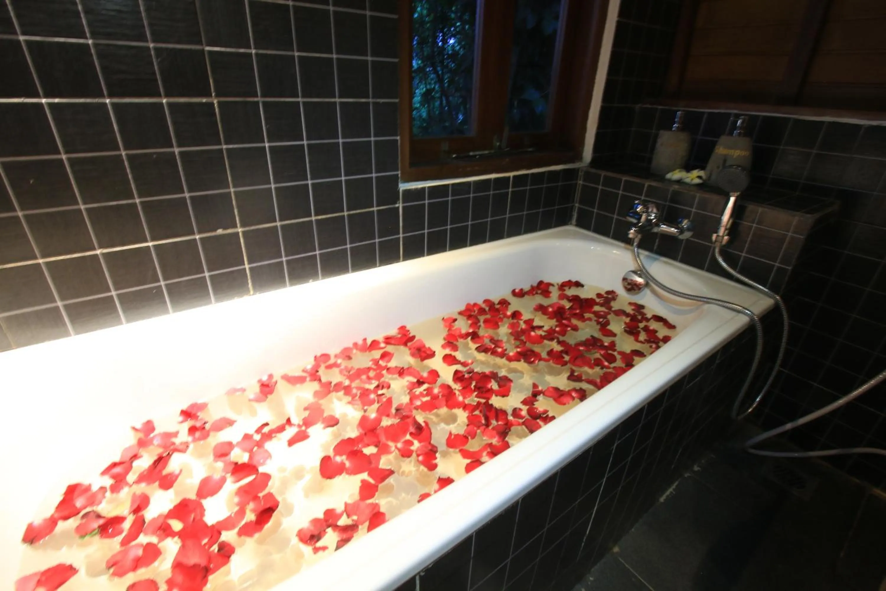 Bathroom in Green Bird Villa