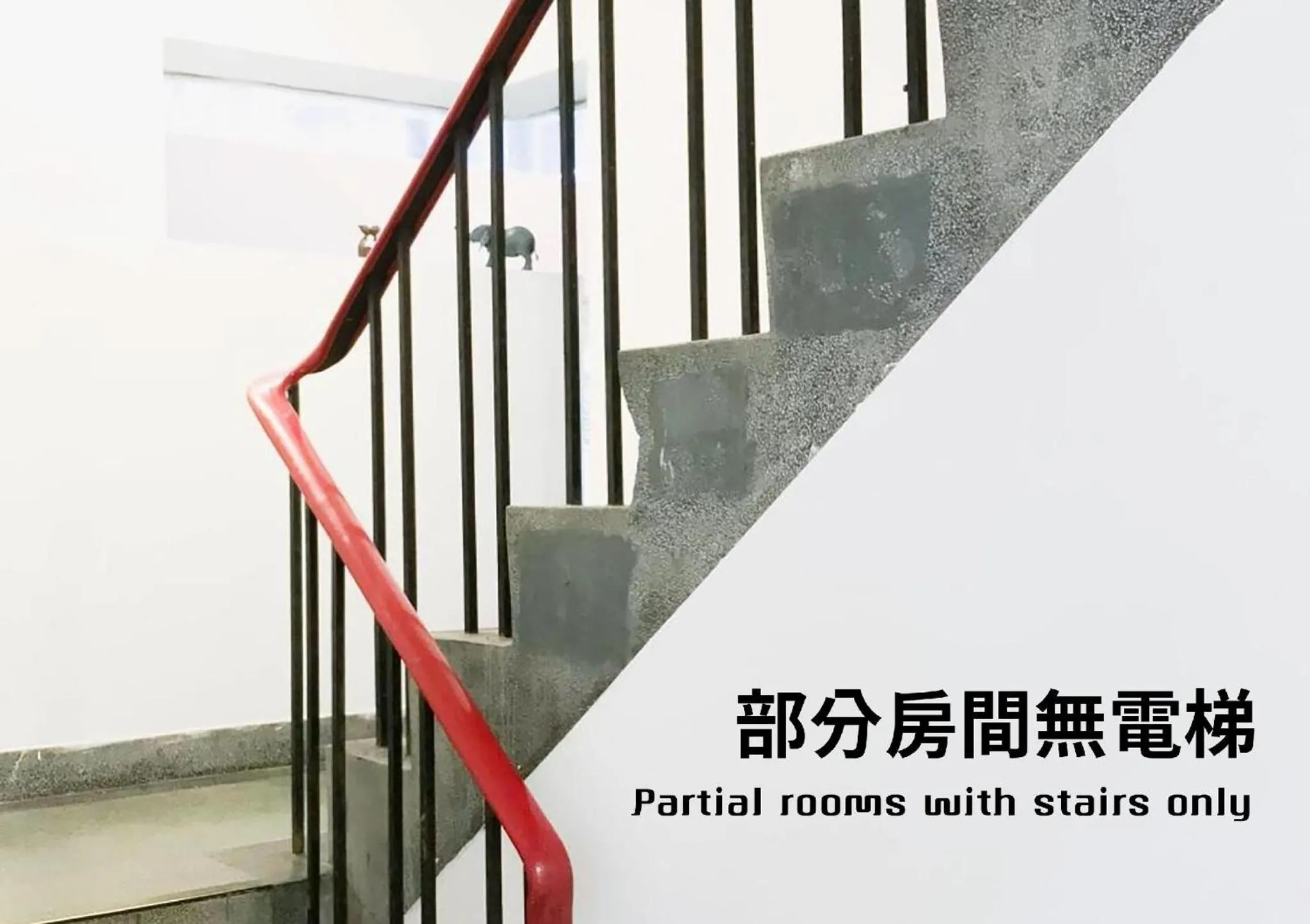 OwlStay Flip Flop Hostel - Garden