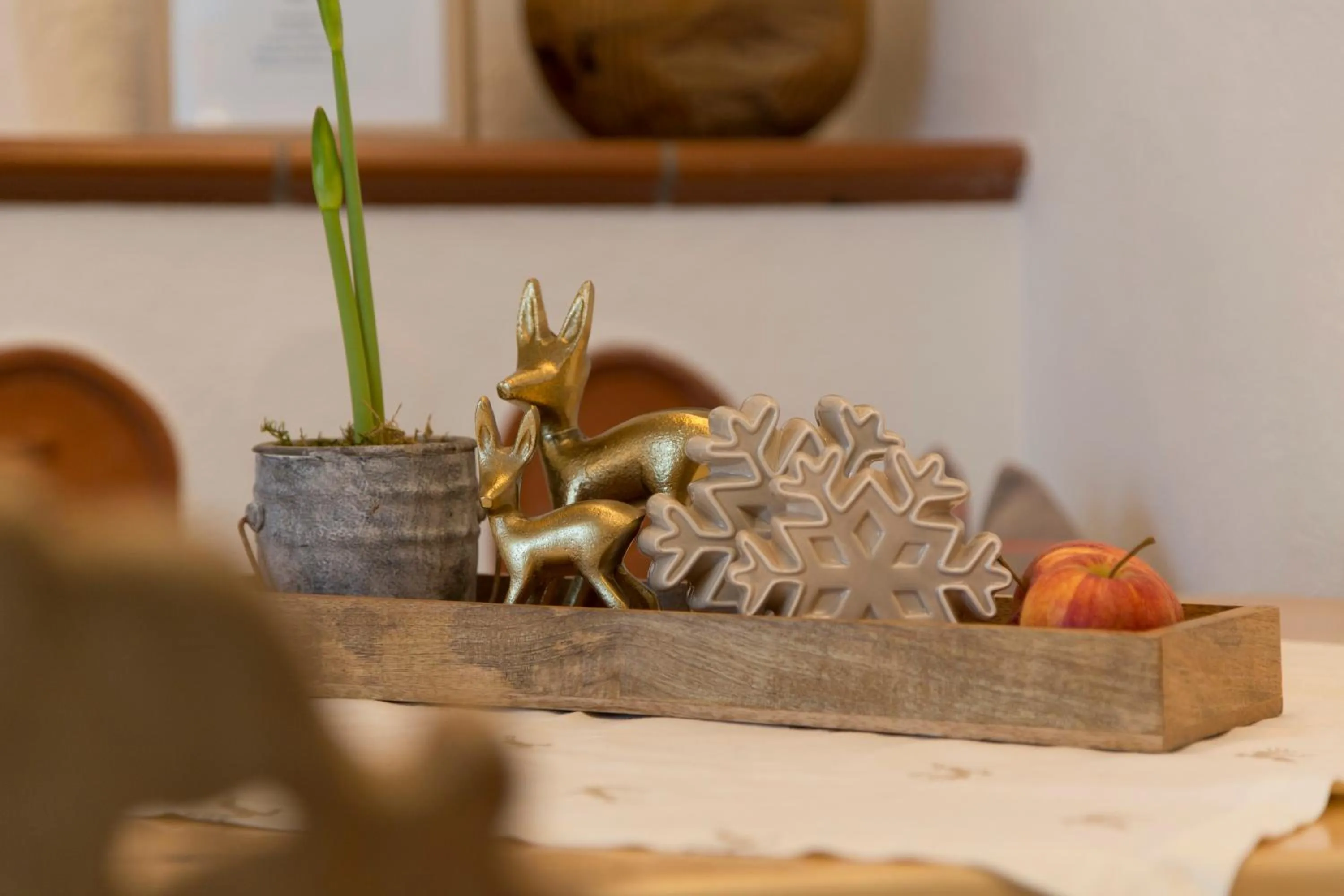 Am Dorfplatz Suites - Adults friendly