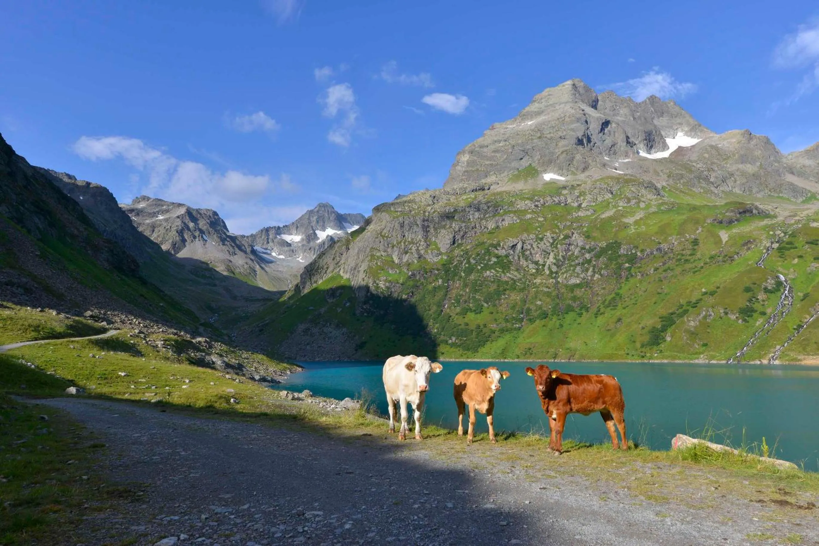 Am Dorfplatz Suites - Adults friendly